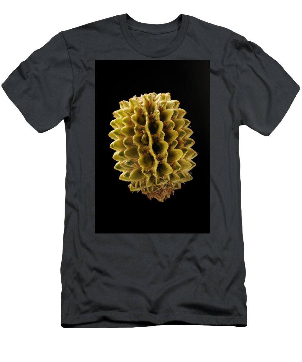 Albert Lleal T-Shirt featuring the photograph Casuarina Fruit by Albert Lleal