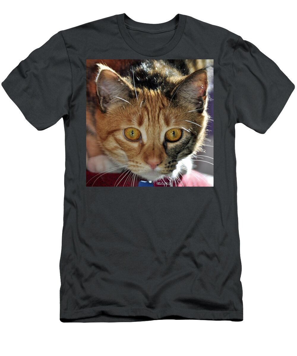 Feline T-Shirt featuring the photograph Cat Stare Down by Tikvah's Hope