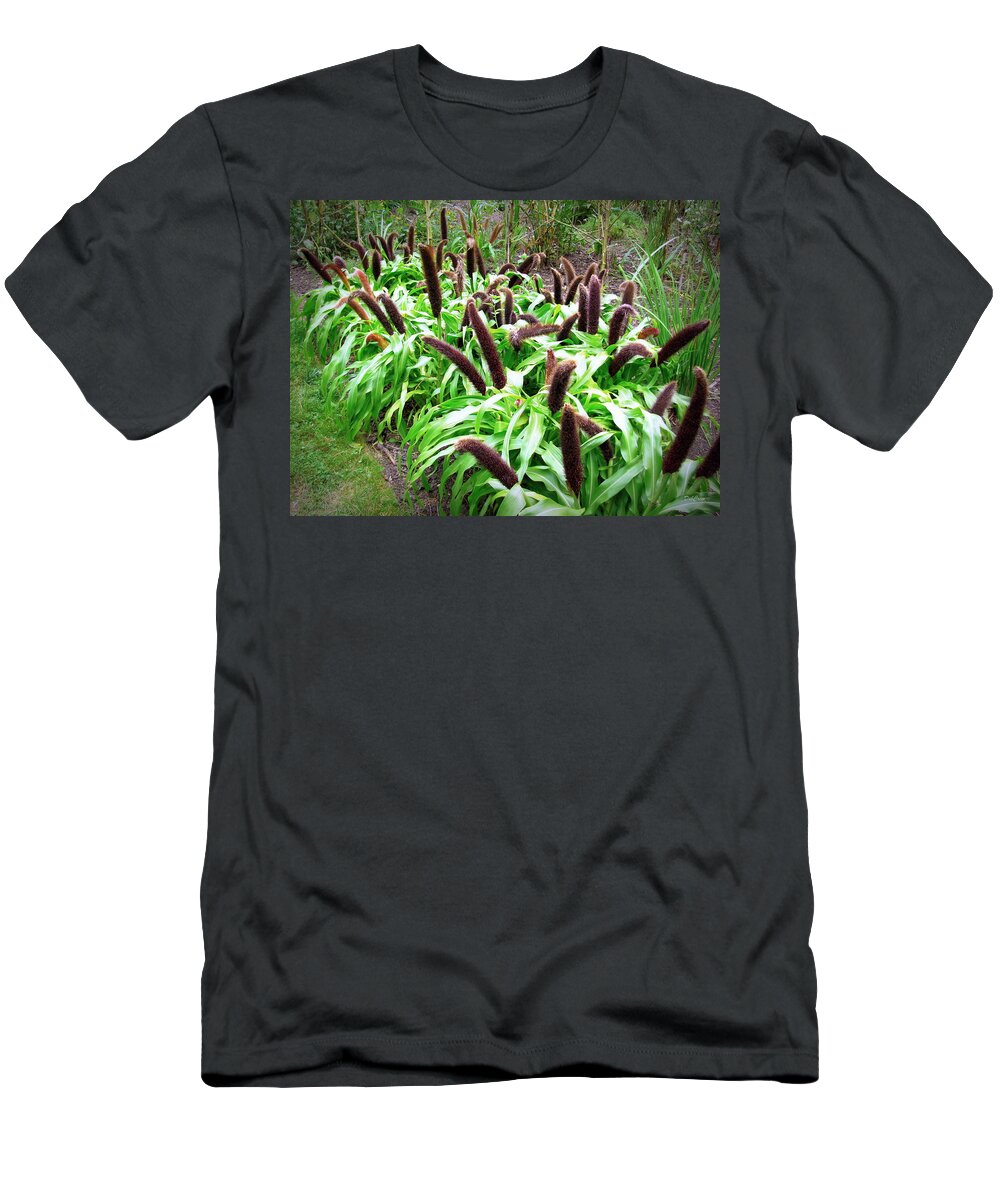 Cat Tails T-Shirt featuring the photograph Cat Tail Plants by Deborah Crew-Johnson