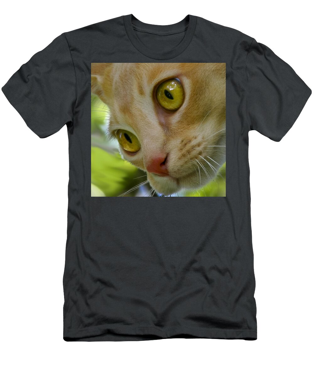 Cat T-Shirt featuring the photograph Cats eyes by Jenny Setchell