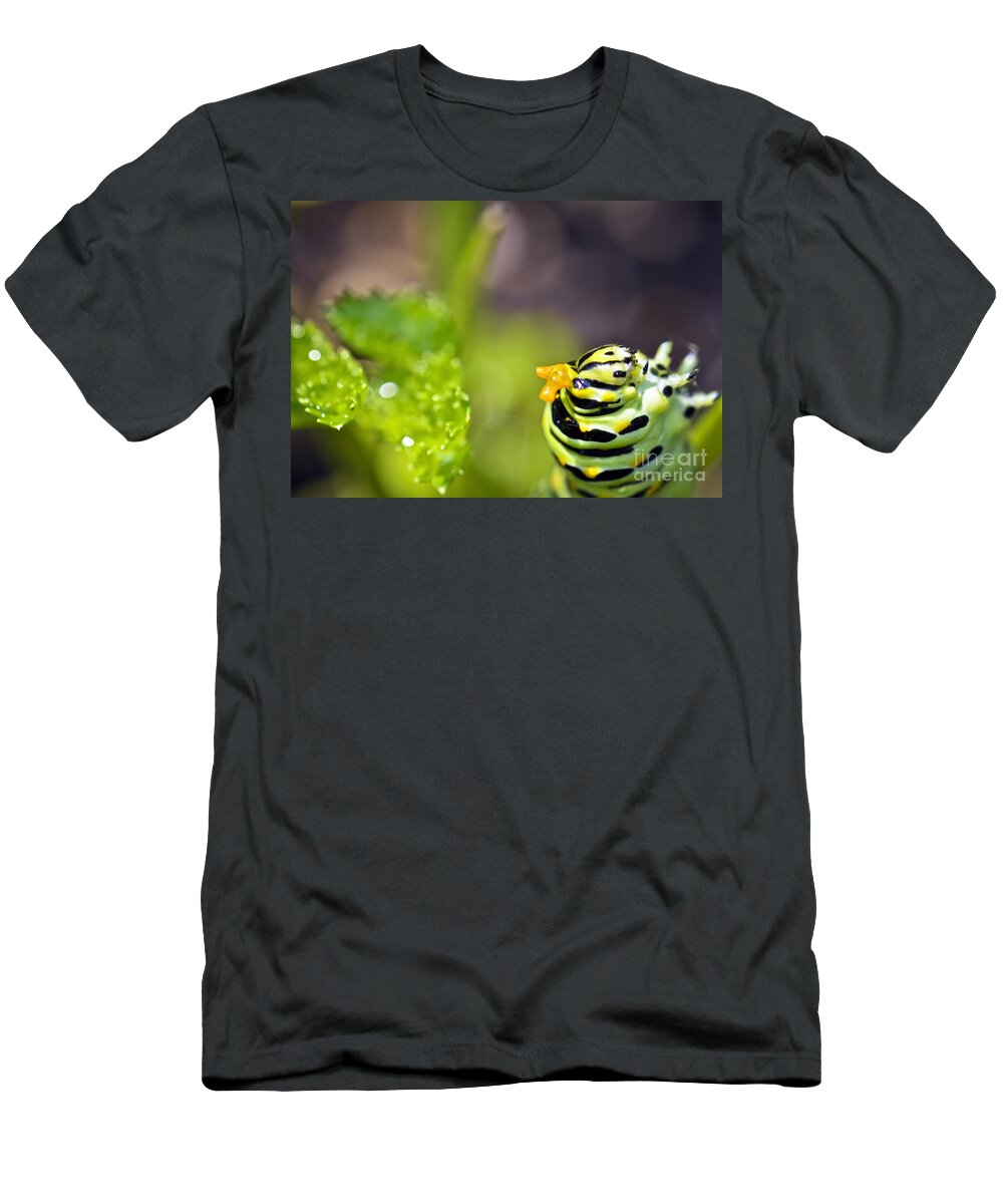Caterpillar T-Shirt featuring the photograph Catterpillar at work by PatriZio M Busnel