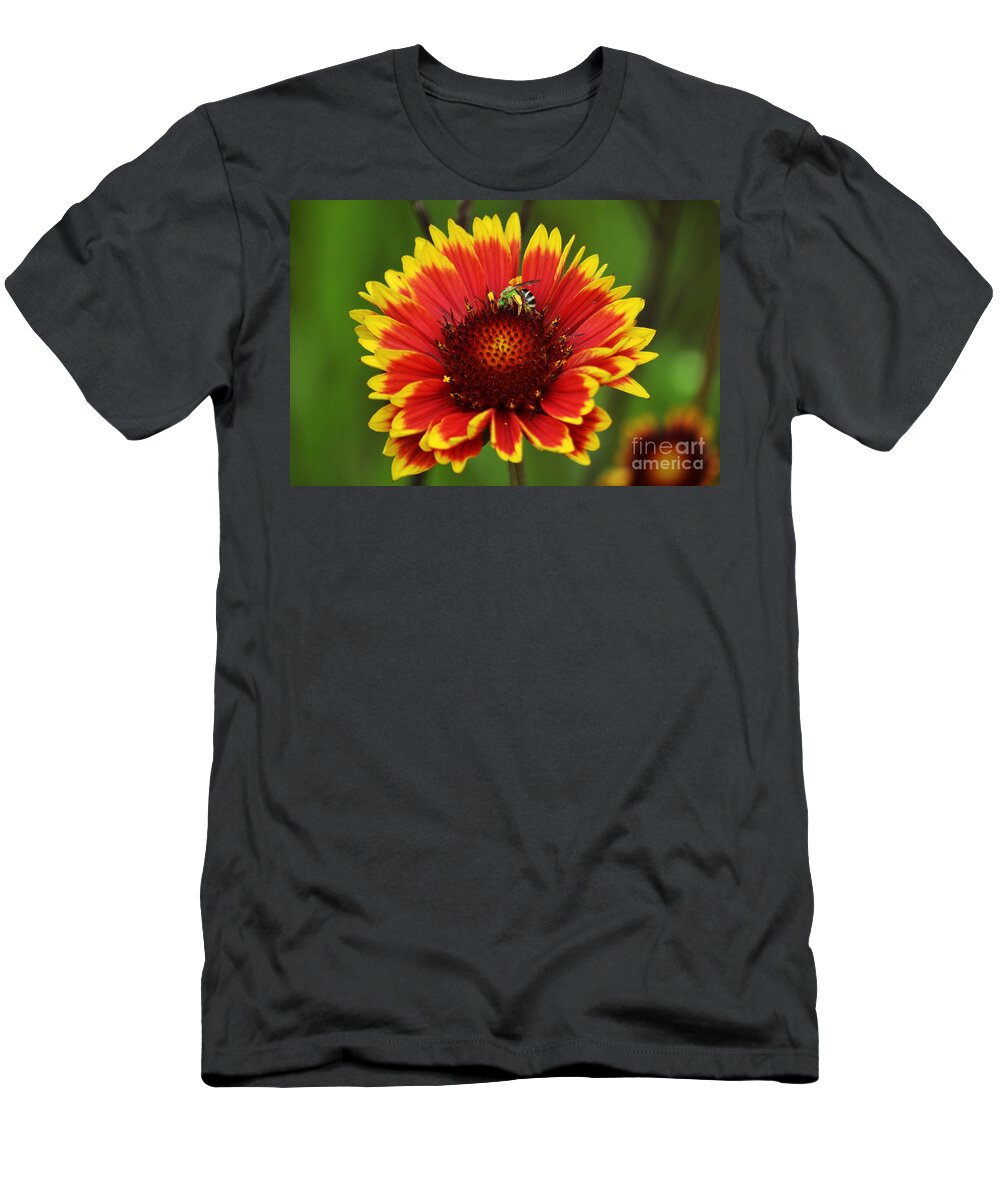 Bee T-Shirt featuring the photograph Caught Snacking by Kevin Fortier