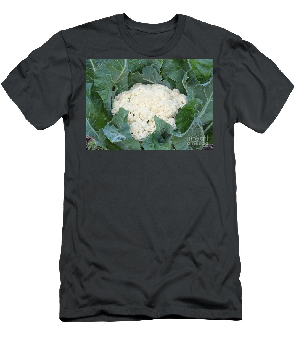 Cauliflower T-Shirt featuring the photograph Cauliflower by Carol Groenen