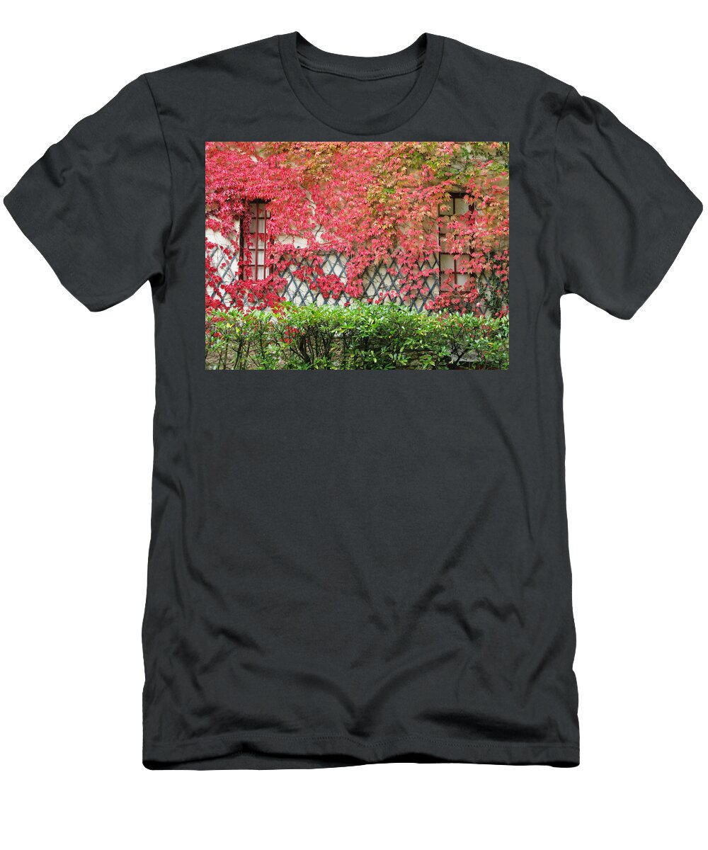 Fall Leaves T-Shirt featuring the photograph Chateau Chenonceau Vines on Wall Image One by Randi Kuhne