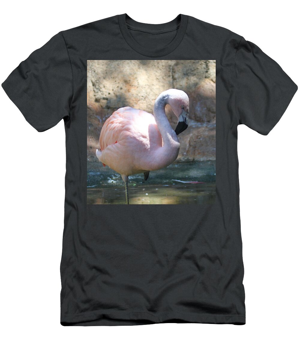 Flamingo T-Shirt featuring the photograph Chilean Flamingo 2 by Cathy Lindsey