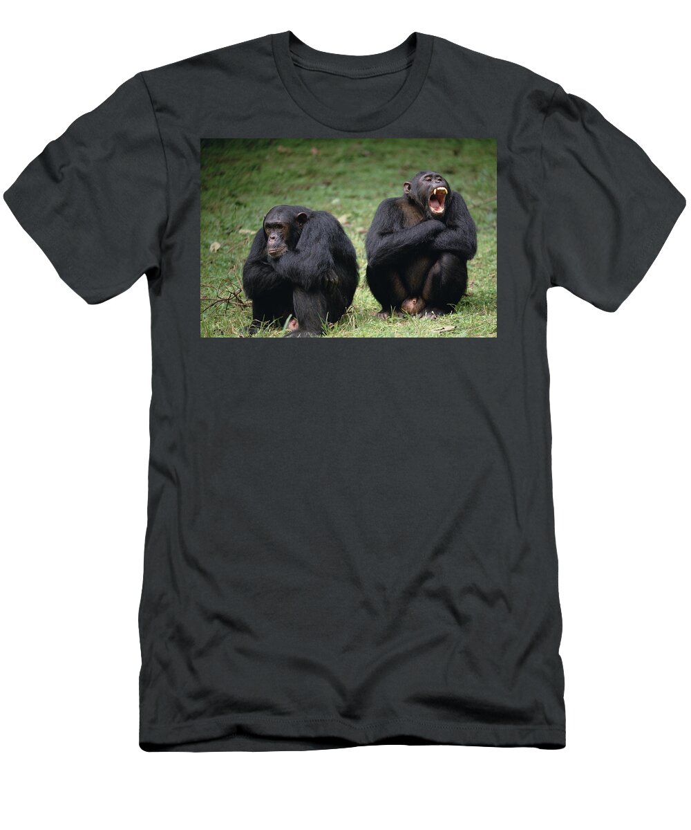 Feb0514 T-Shirt featuring the photograph Chimpanzee Pair Interacting Gombe Stream by Gerry Ellis