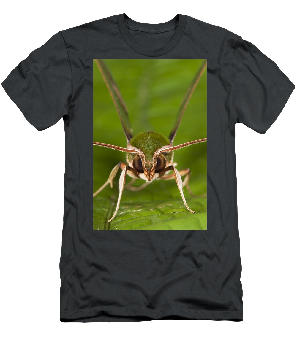 Feb0514 T-Shirt featuring the photograph Chiron Sphinx Moth Yasuni Np Ecuador by Pete Oxford