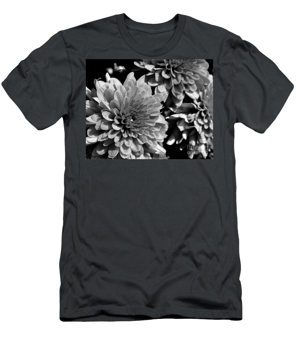 Chrysanthemums T-Shirt featuring the photograph Chrysanthemum in Black and White by Robert ONeil