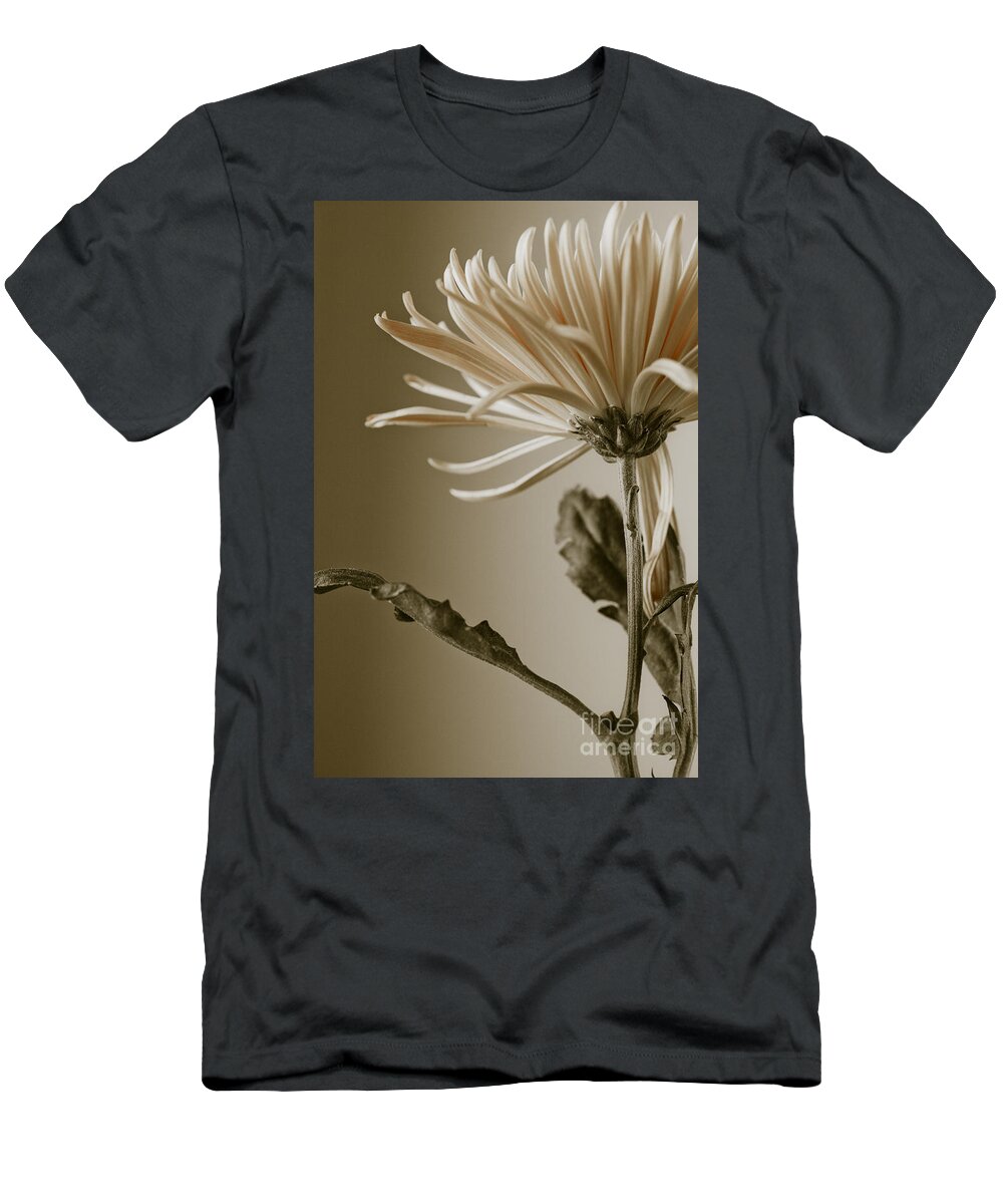 Beautiful T-Shirt featuring the photograph Chrysanthemum Petals 2 by Jo Ann Tomaselli