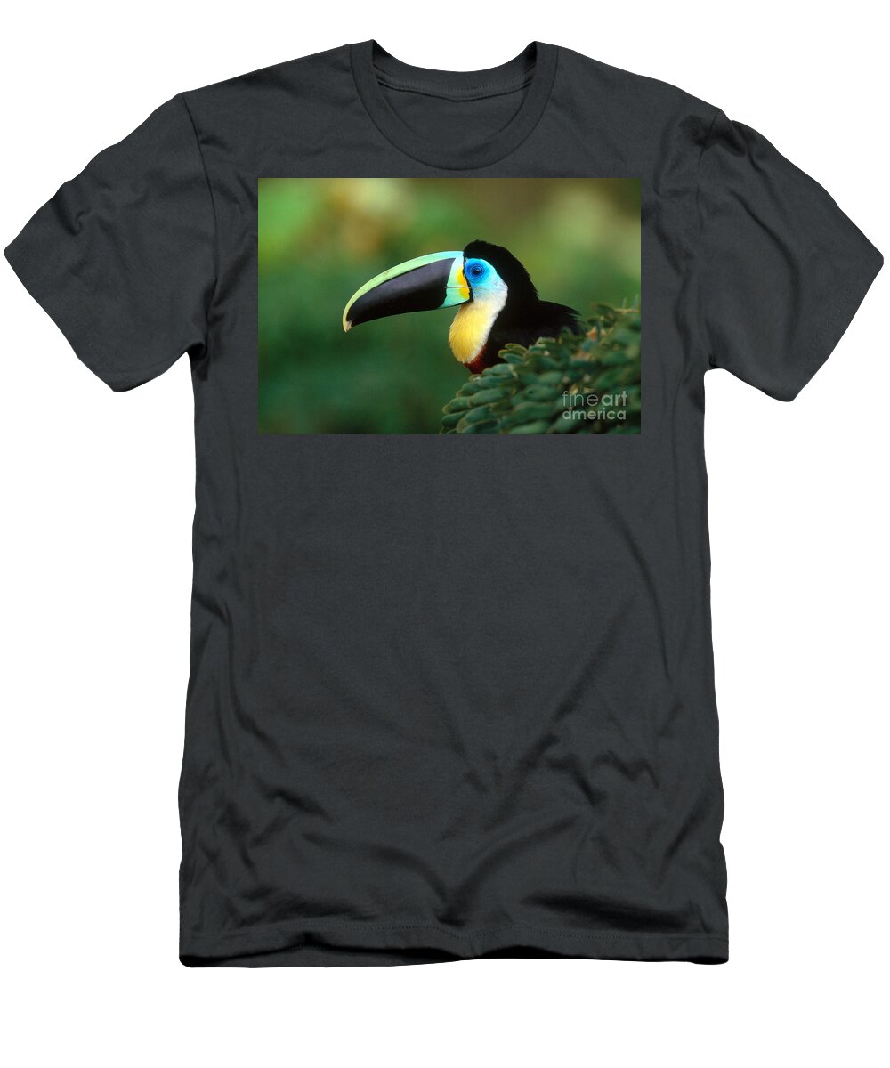 Citron-throated Toucan T-Shirt featuring the photograph Citron-throated Toucan by Art Wolfe