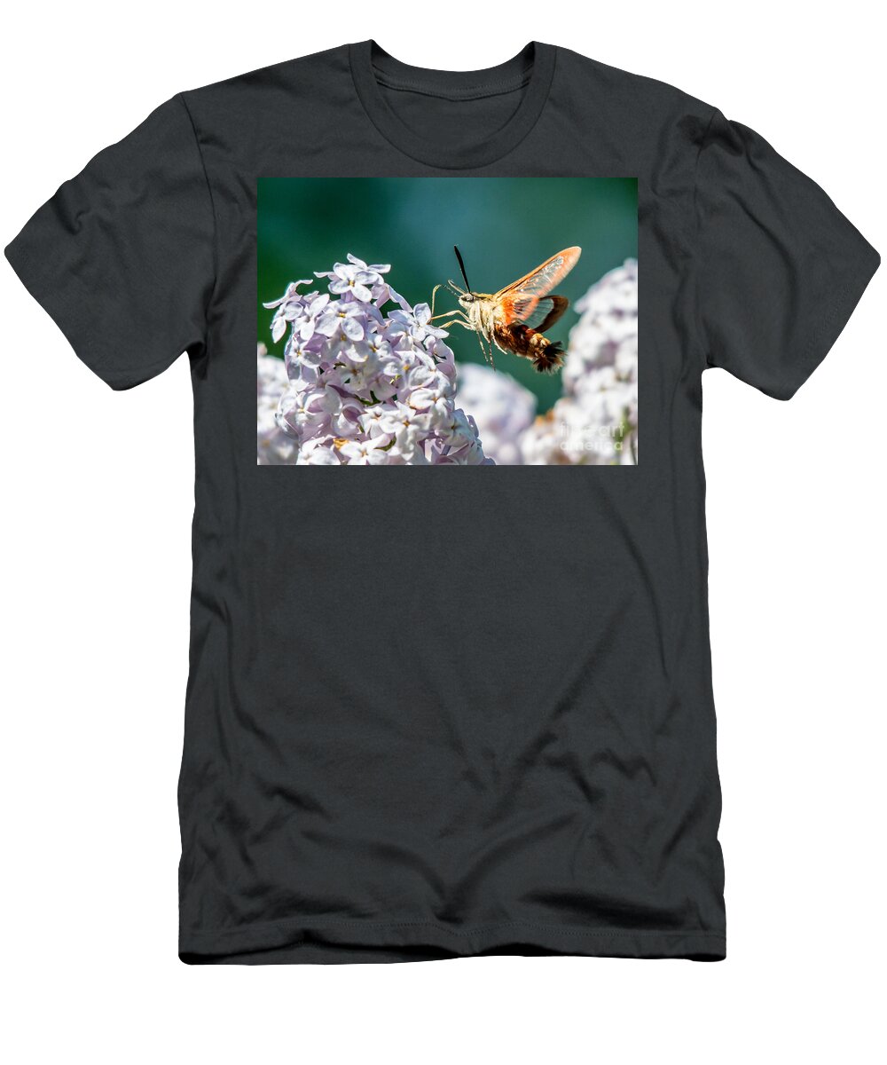 Landscape T-Shirt featuring the photograph Clearwing Hummingbird Moth by Cheryl Baxter