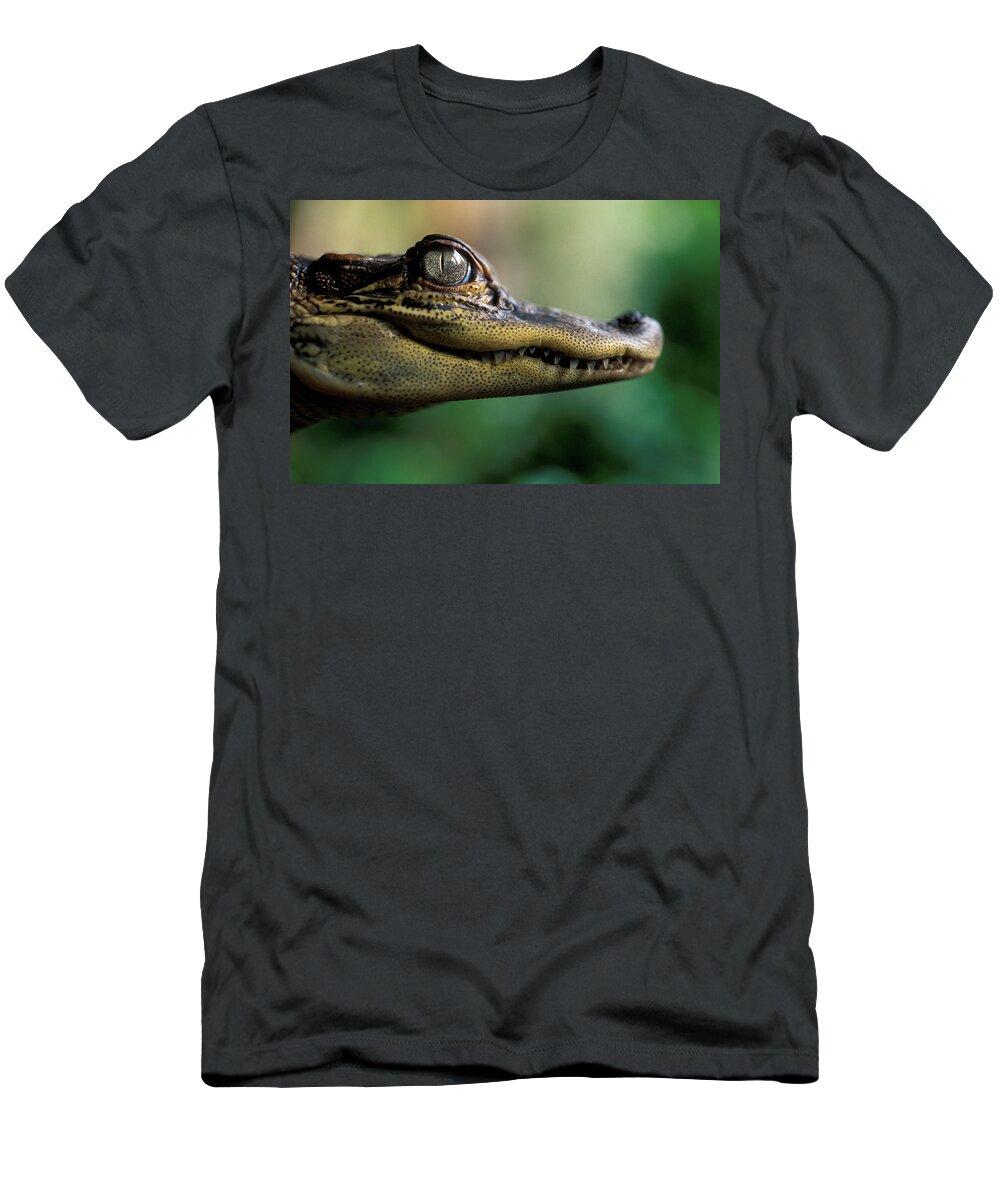 Alligator T-Shirt featuring the photograph Close Up Of An American Alligator by Peter Dennen
