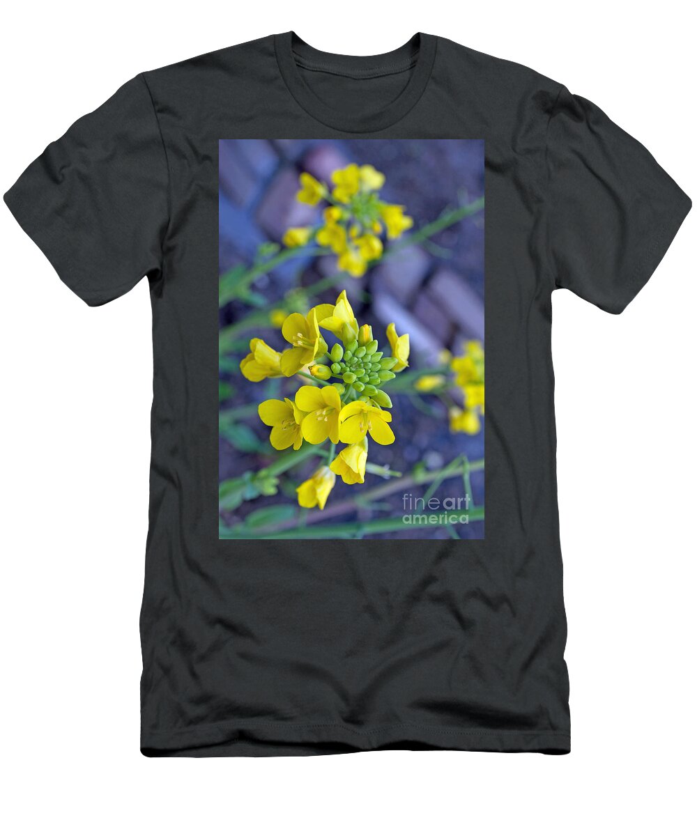 Flower T-Shirt featuring the photograph Collard Greens Flora by Gwyn Newcombe