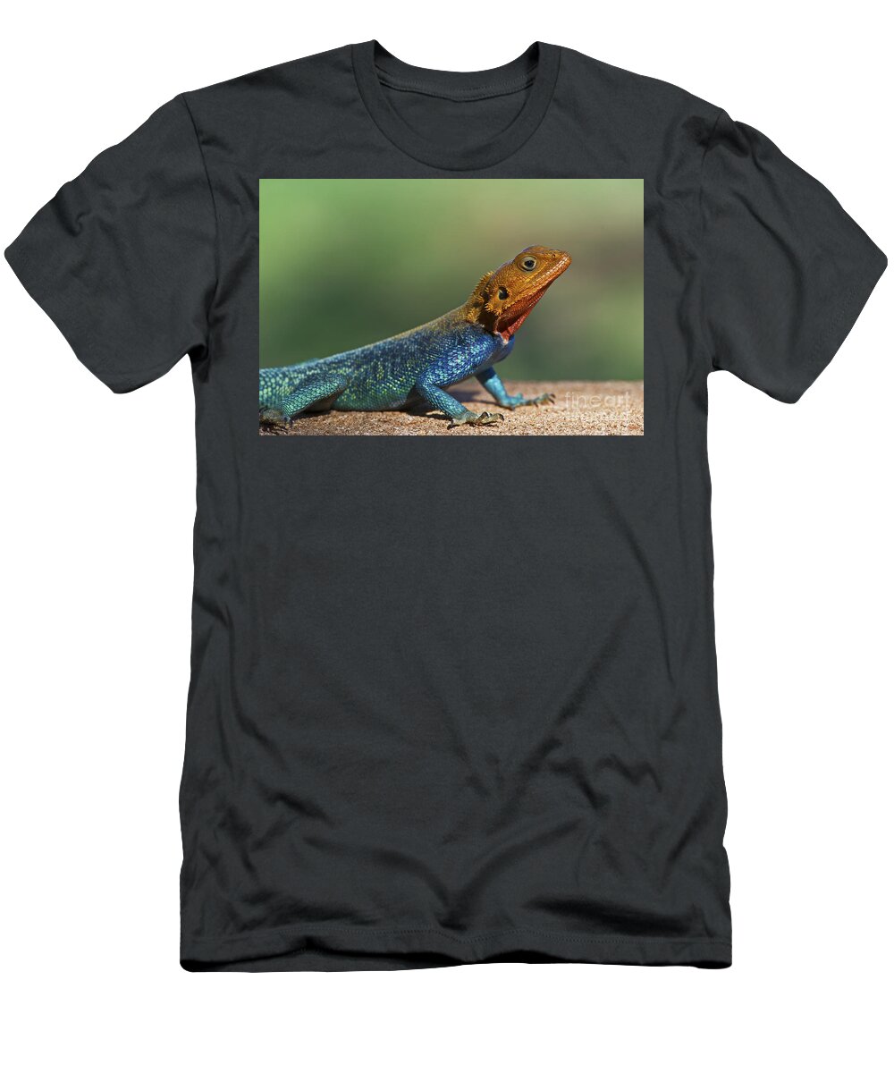 Festblues T-Shirt featuring the photograph Colorful Awesomeness... by Nina Stavlund