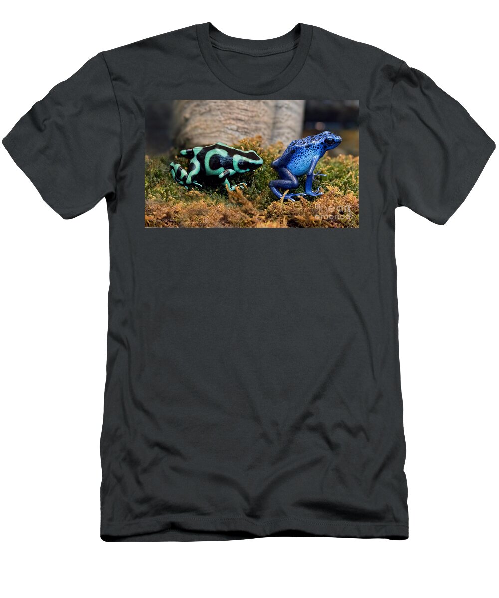 Poison Dart Frog T-Shirt featuring the photograph Colorful But Deadly Poison Dart Frogs by Barbara McMahon