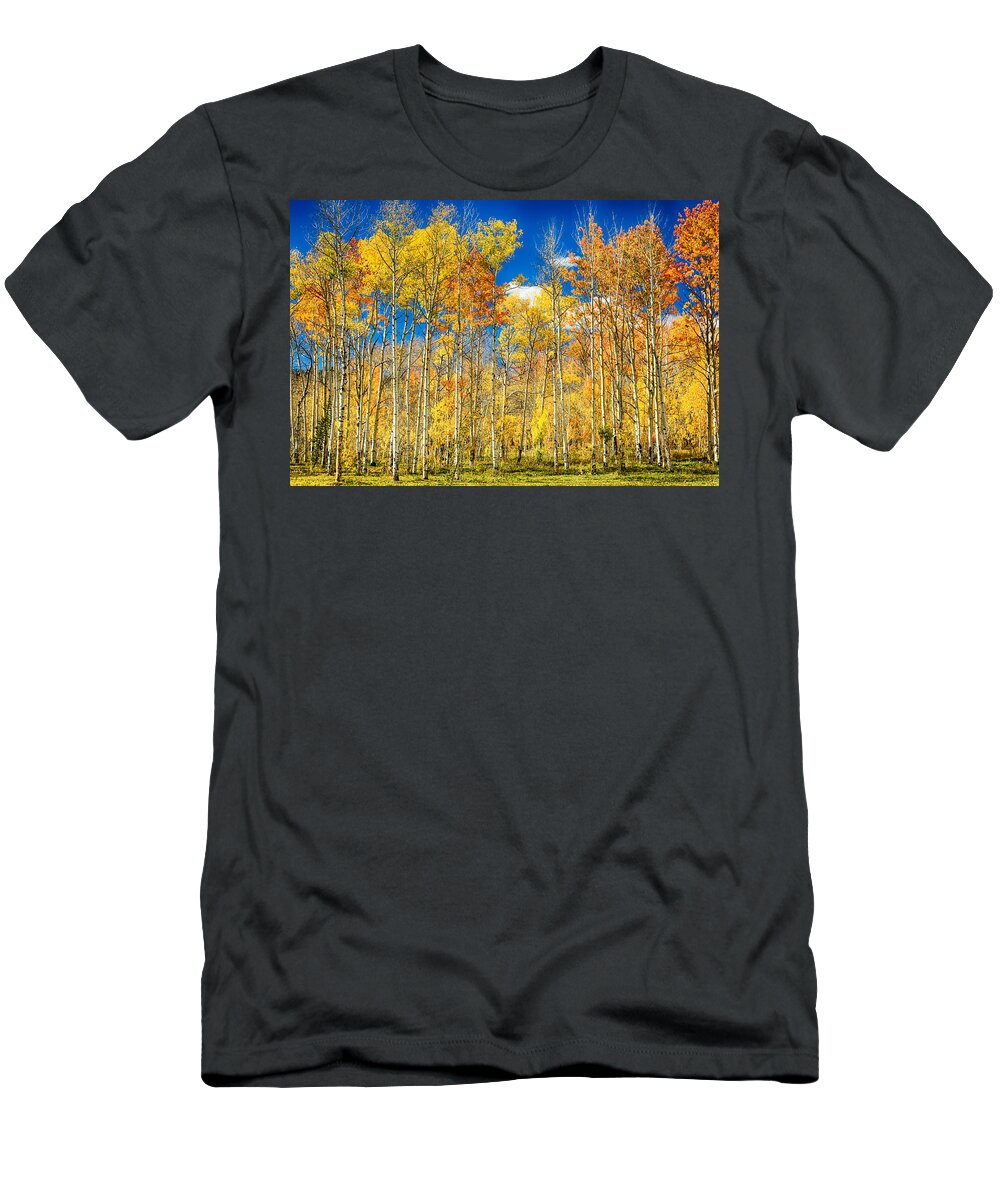 Aspen T-Shirt featuring the photograph Colorful Colorado Autumn Aspen Trees by James BO Insogna
