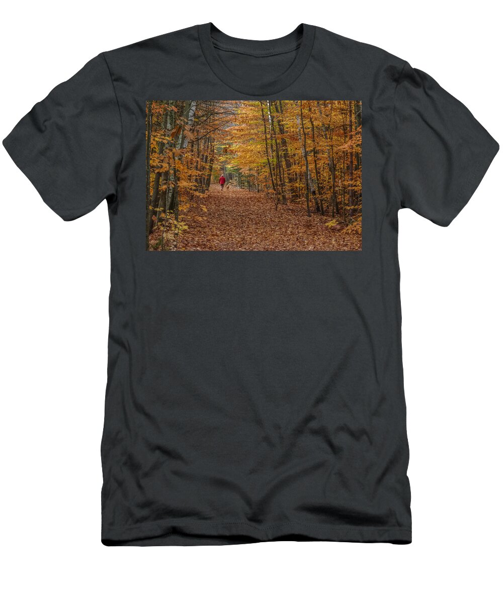 Foliage T-Shirt featuring the photograph Colorful path by Jane Luxton