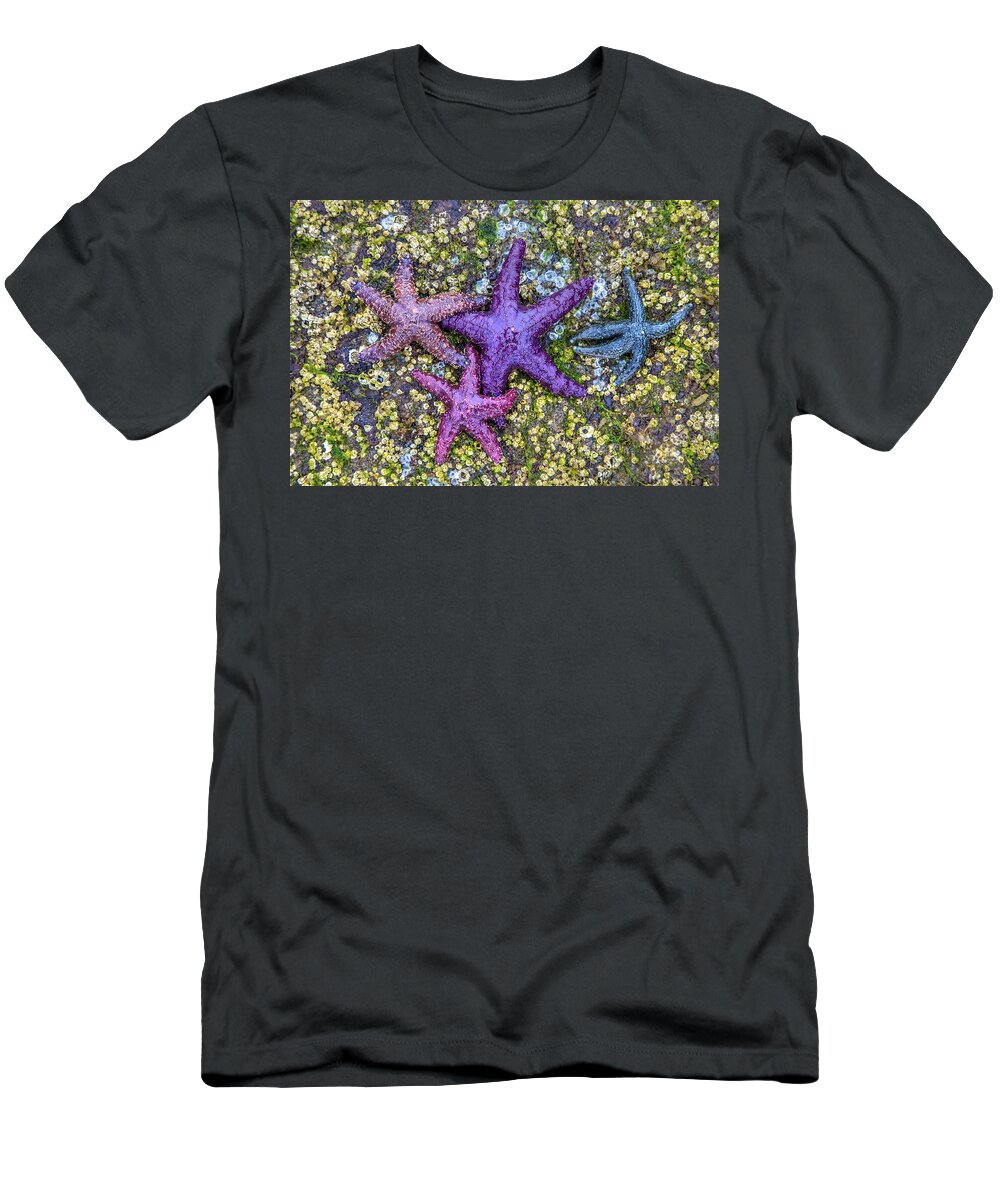 Starfish T-Shirt featuring the photograph Colorful Starfish BC by Pierre Leclerc Photography