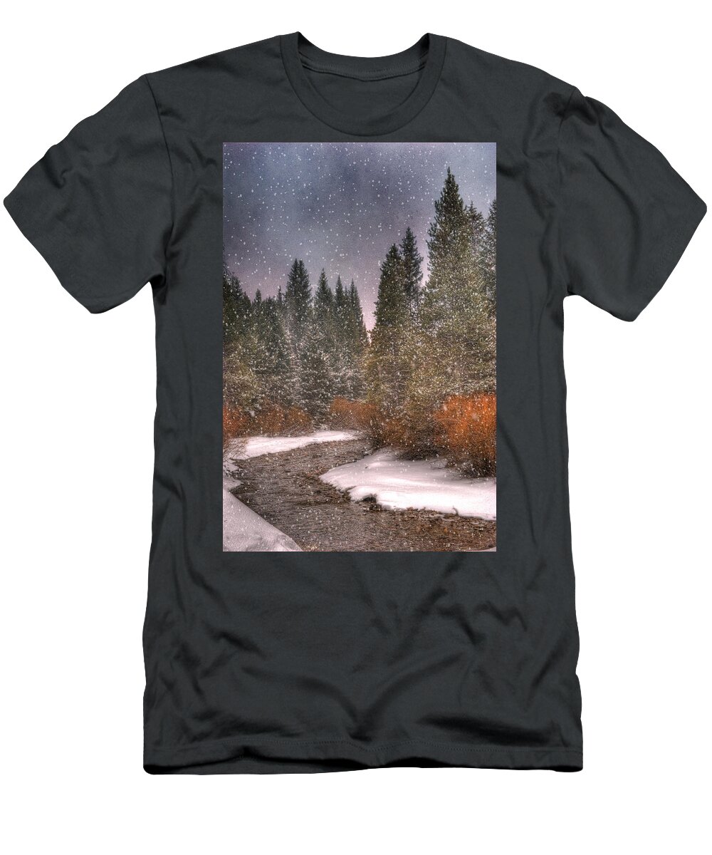 Beautiful T-Shirt featuring the photograph Colours of Winter by Juli Scalzi