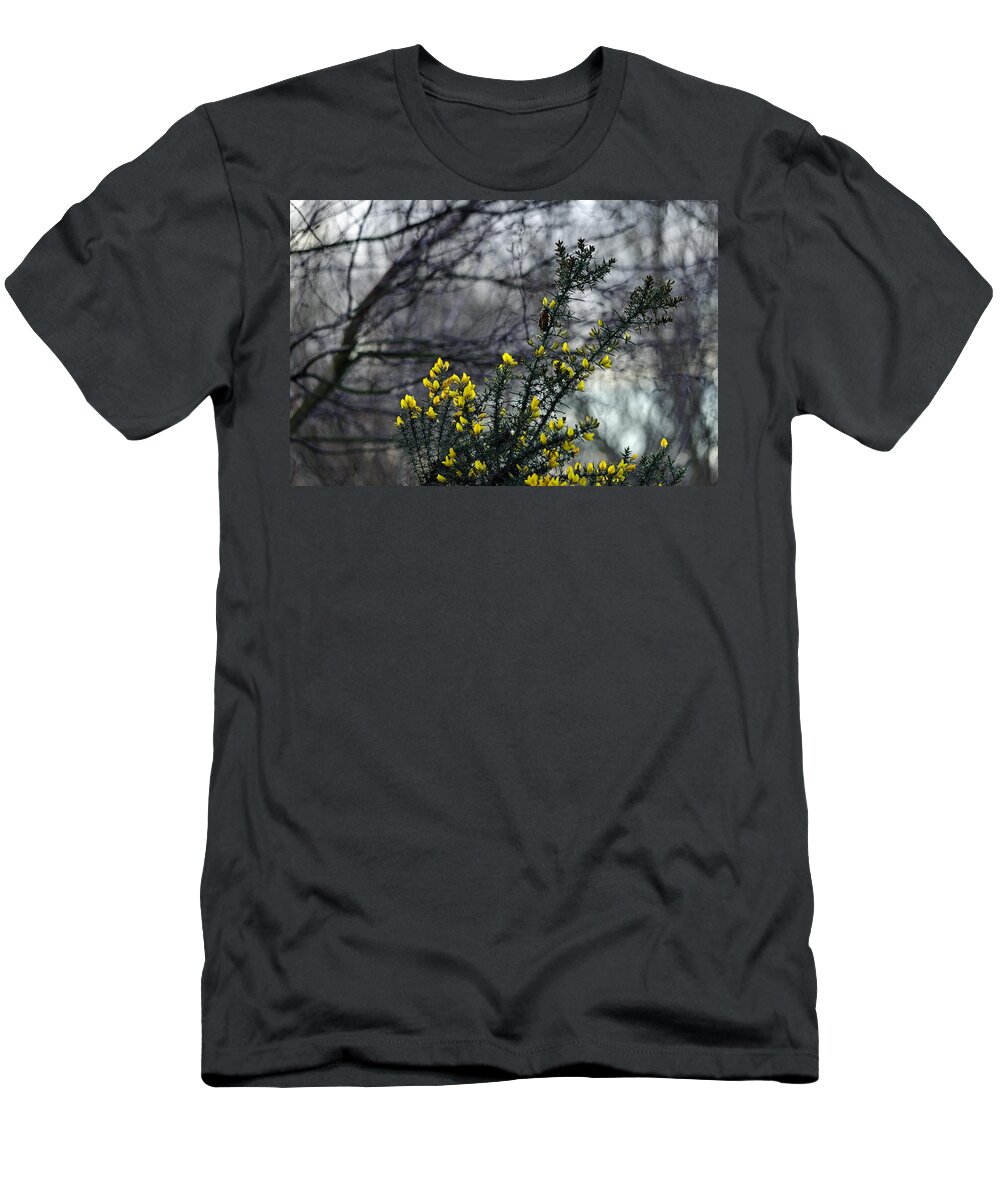 Britain T-Shirt featuring the photograph Common Gorse in the Woodland by Rod Johnson