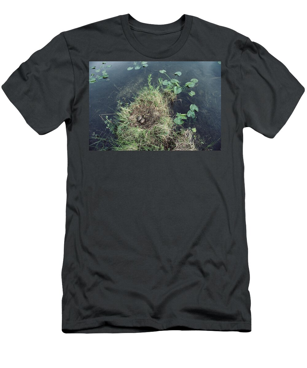 Feb0514 T-Shirt featuring the photograph Common Loon Nest With Eggs Wyoming by Michael Quinton