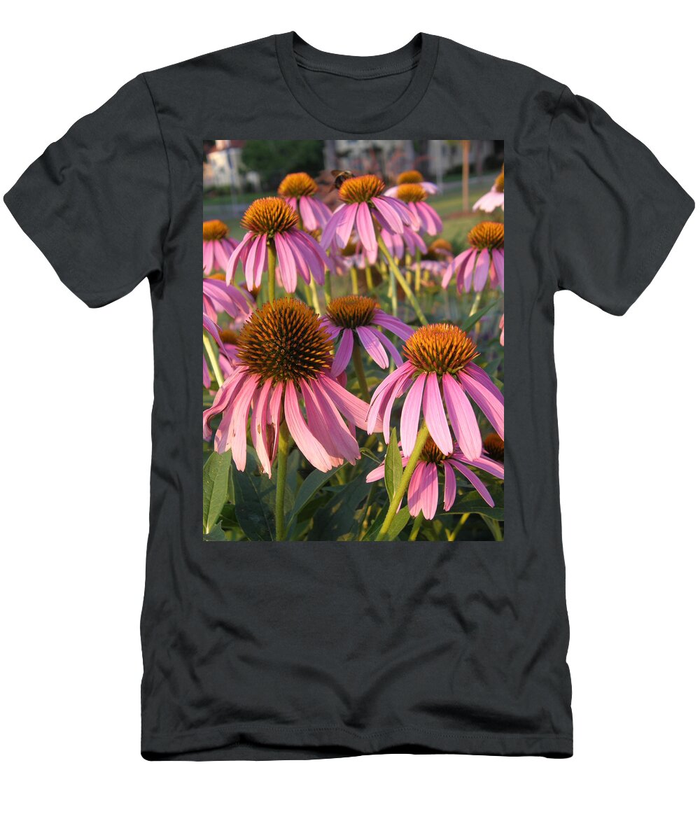 Bee T-Shirt featuring the photograph Coneflowers by Caryl J Bohn