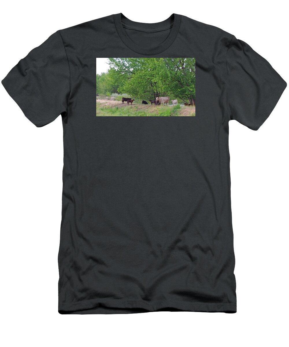 Cattle T-Shirt featuring the photograph Cool Respite by Mike and Sharon Mathews