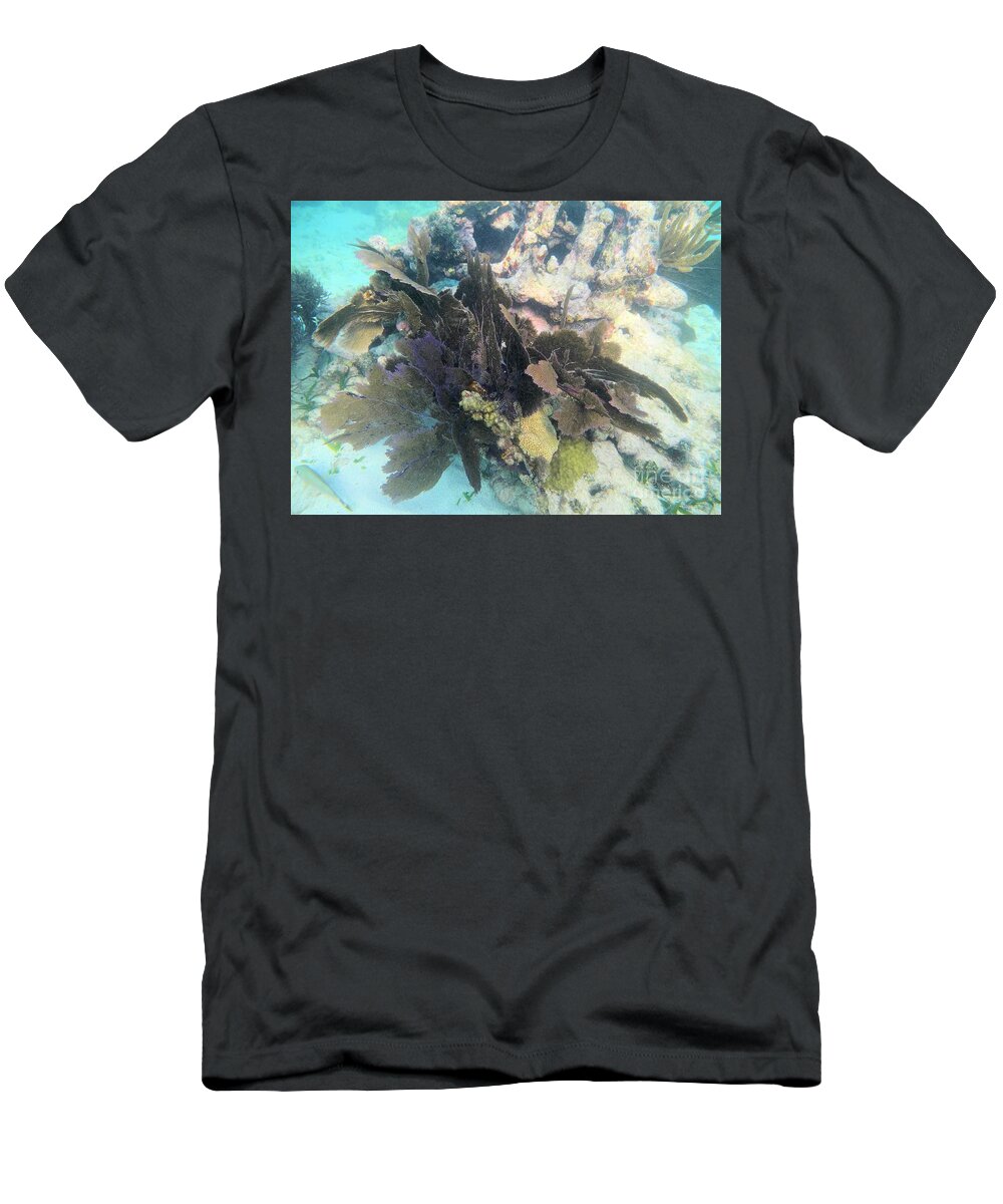 John Pennekamp State Park T-Shirt featuring the photograph Coral Collage by Adam Jewell