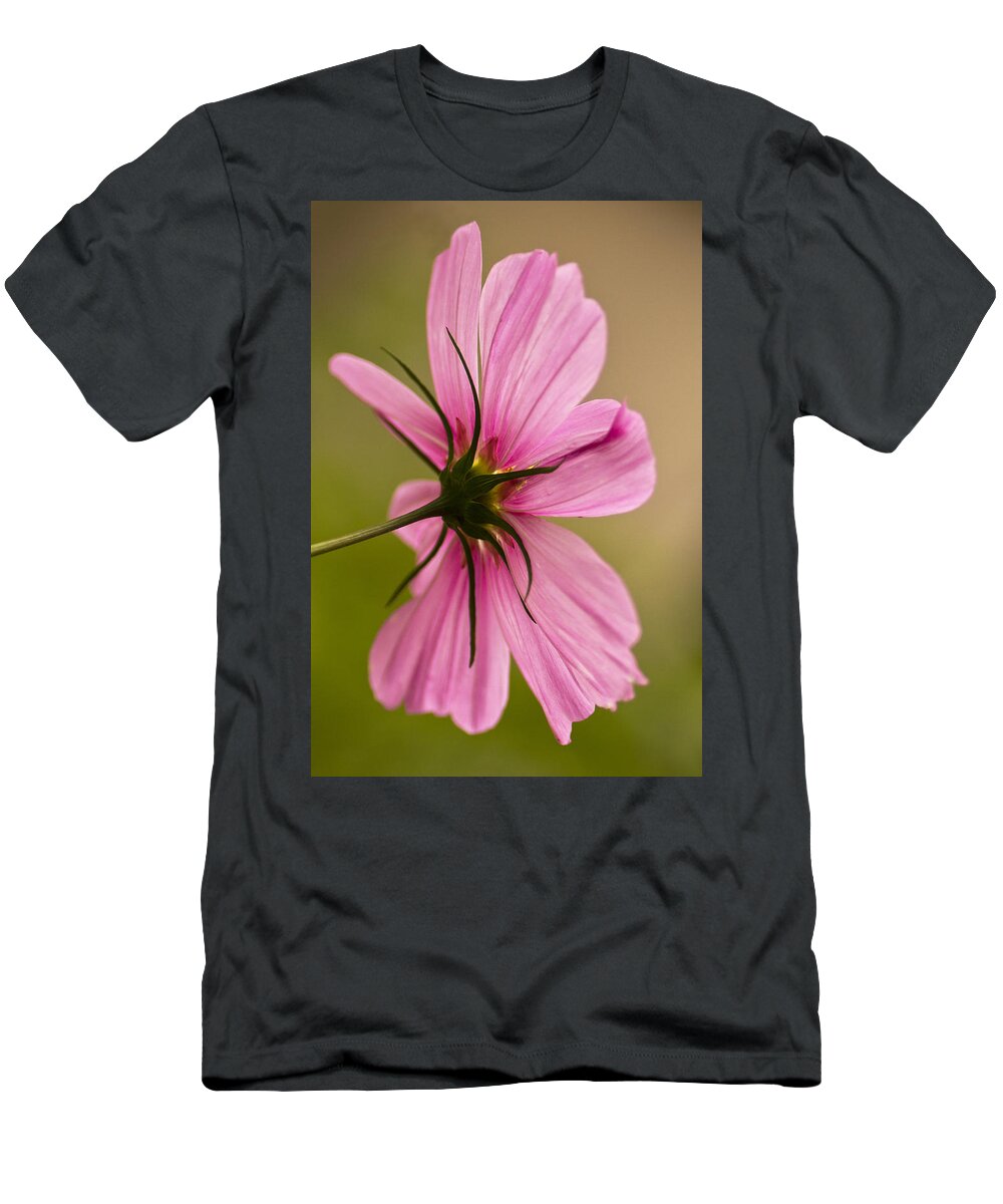 Cosmos T-Shirt featuring the photograph Cosmos in Pink by Diane Fifield