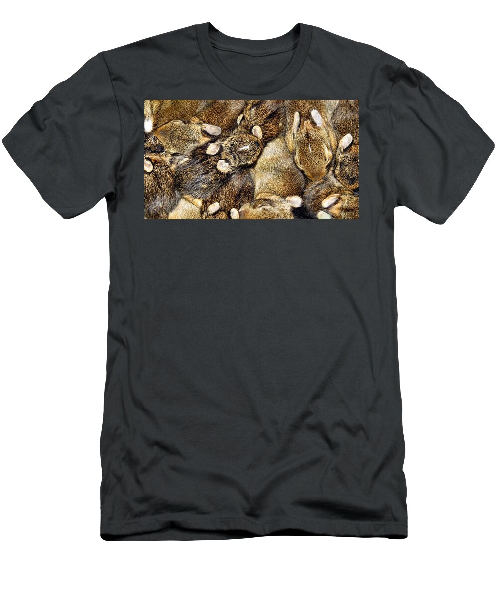 Bunny T-Shirt featuring the photograph Cottontail Collage by Art Dingo
