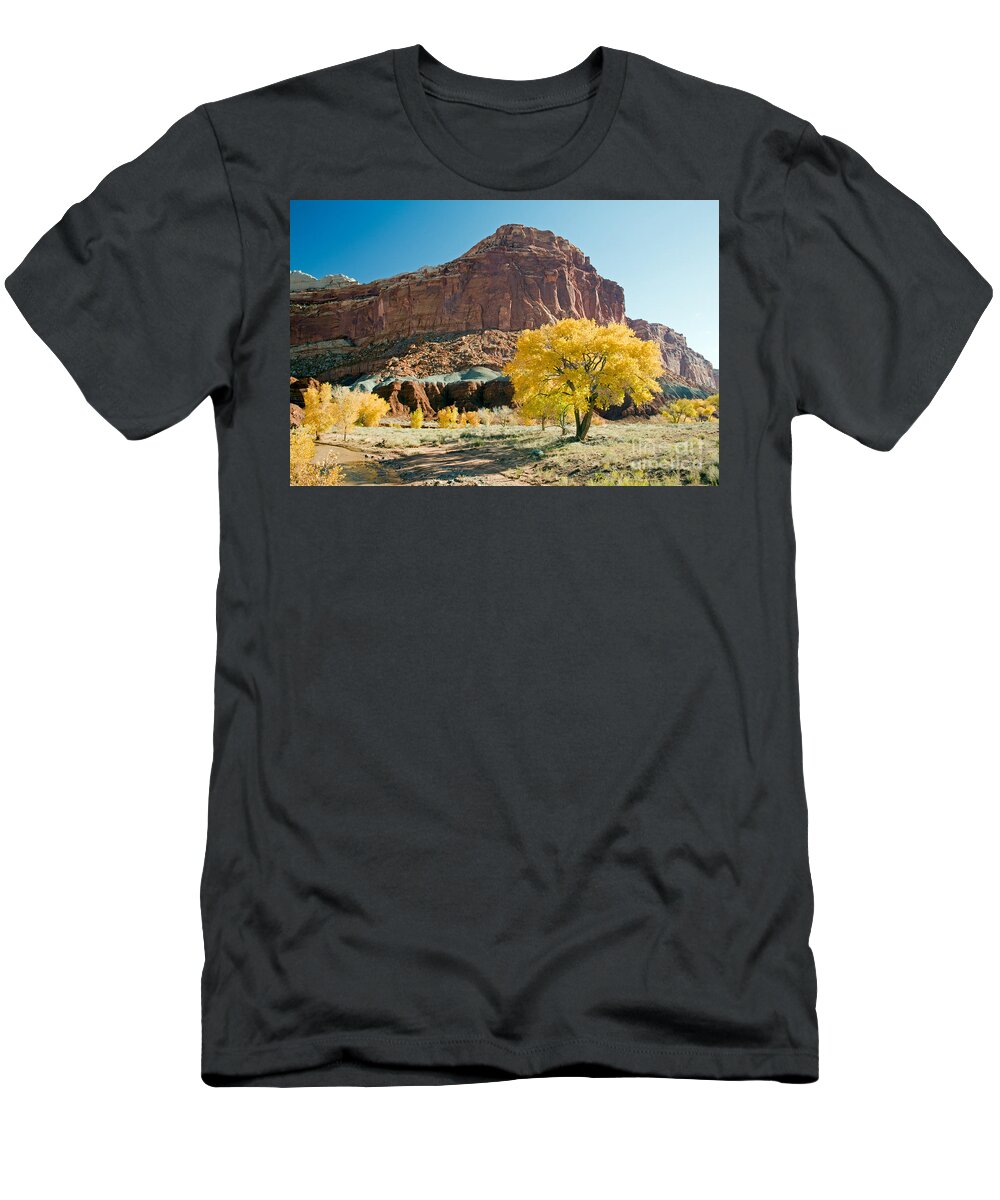 Autumn T-Shirt featuring the photograph Cottonwoods in Fall The CastleCapitol Reef National Park by Fred Stearns