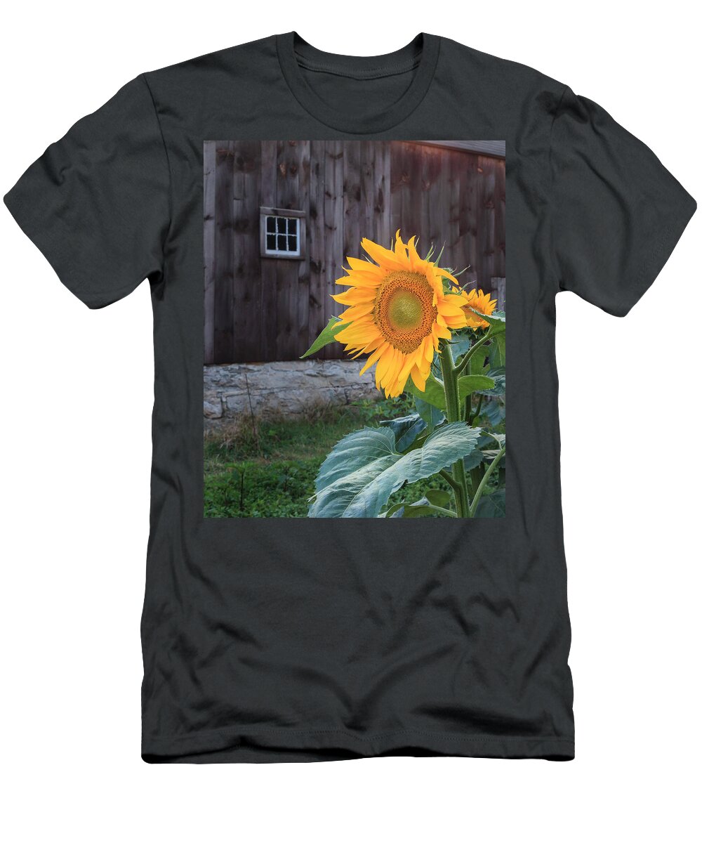 Sunflower T-Shirt featuring the photograph Country Flower by Bill Wakeley
