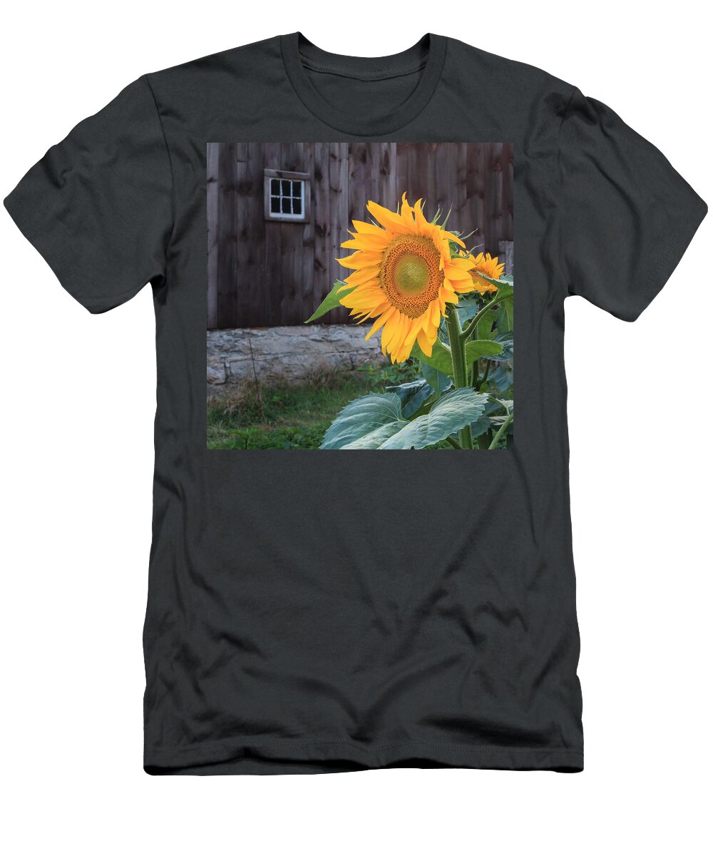 Square T-Shirt featuring the photograph Country Flower Square by Bill Wakeley