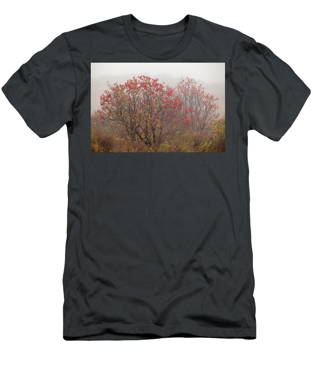 2013 T-Shirt featuring the photograph Crimson Fog by Melinda Ledsome