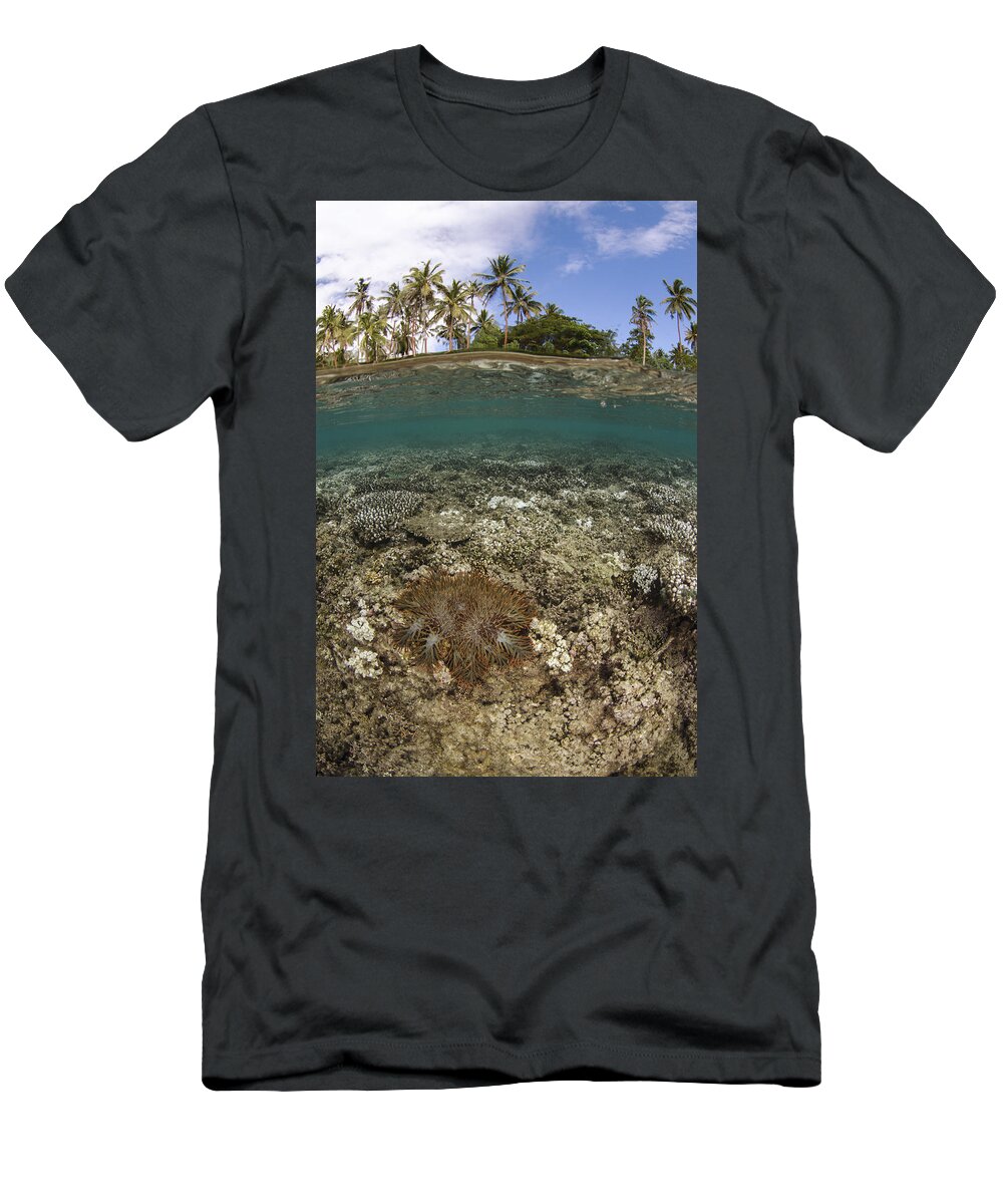 Pete Oxford T-Shirt featuring the photograph Crown-of-thorns Starfish Fiji by Pete Oxford