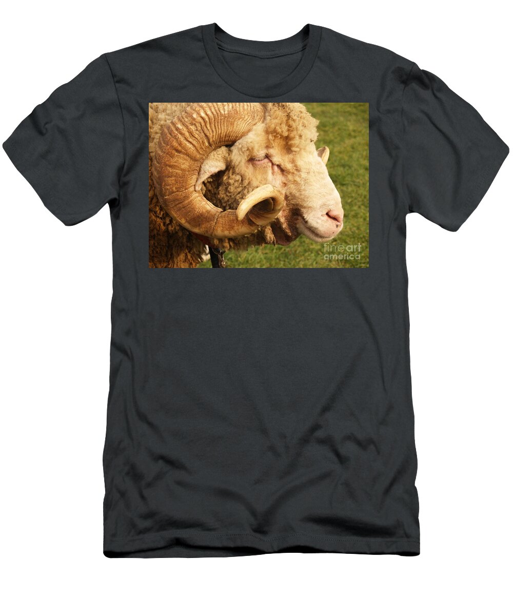 Ram T-Shirt featuring the photograph Curly-horned Ram by Anna Lisa Yoder