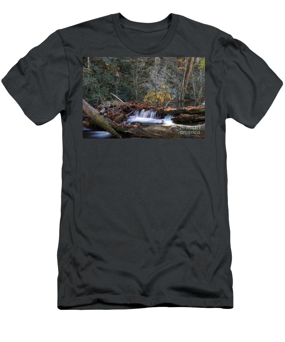 Cataloochee North Carolina T-Shirt featuring the photograph Dammed Up in Cataloochee by Benanne Stiens