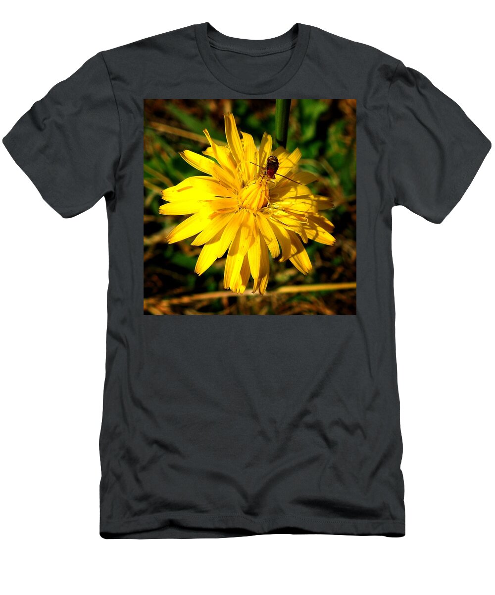 Macro T-Shirt featuring the photograph Dandelion and Bug by Pete Trenholm