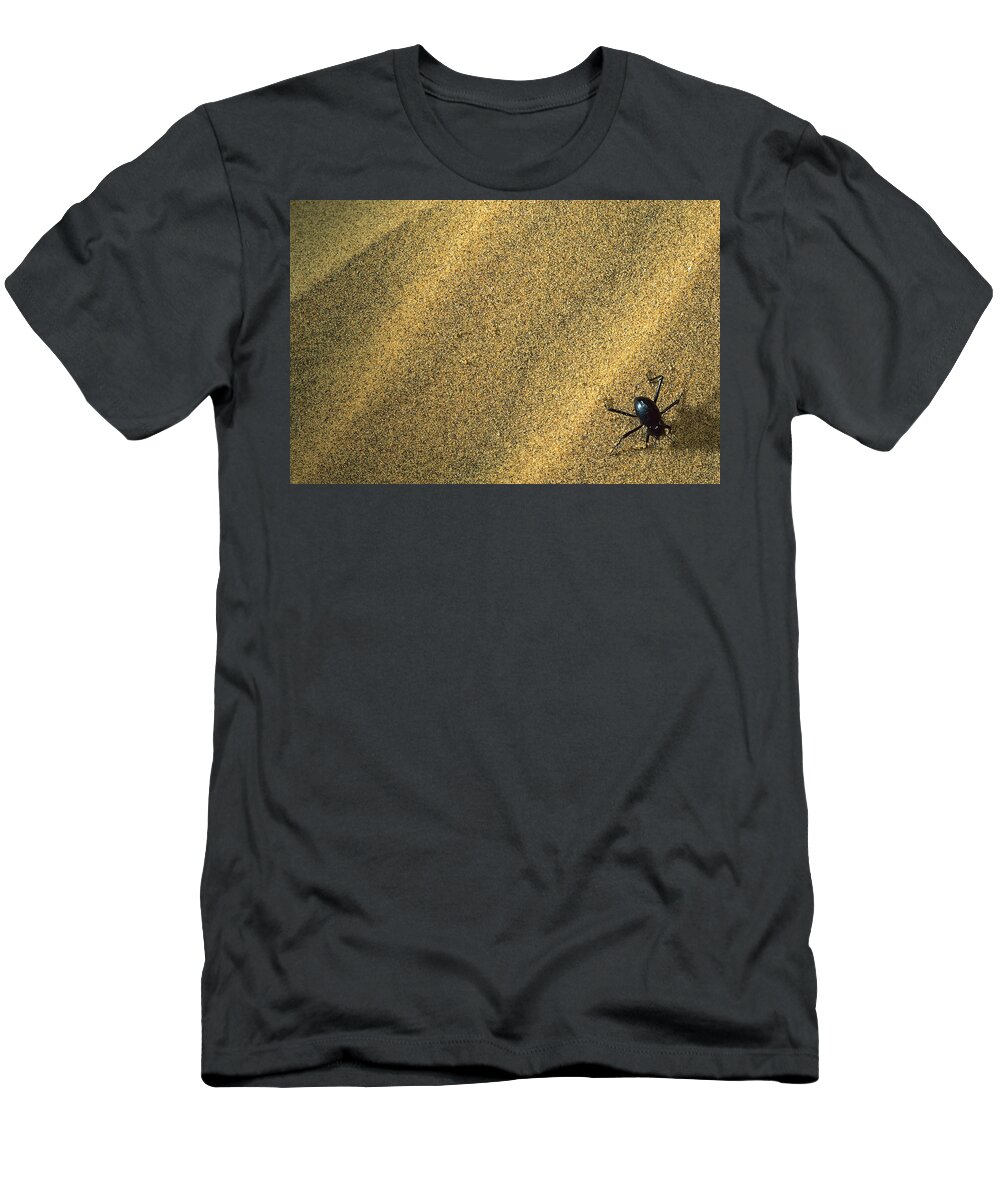 Feb0514 T-Shirt featuring the photograph Darkling Beetle Collecting Dew by Mark Moffett