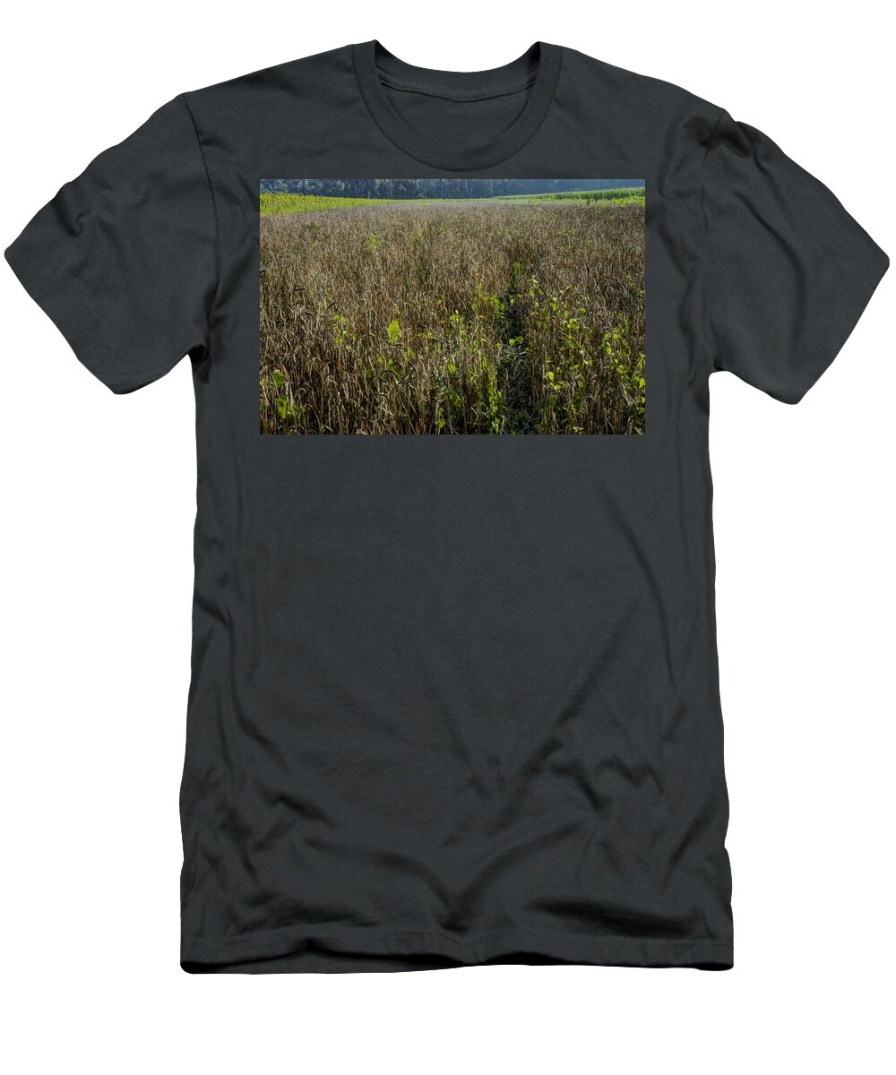 Brandywine Island T-Shirt featuring the photograph Deer Crops by DArcy Evans