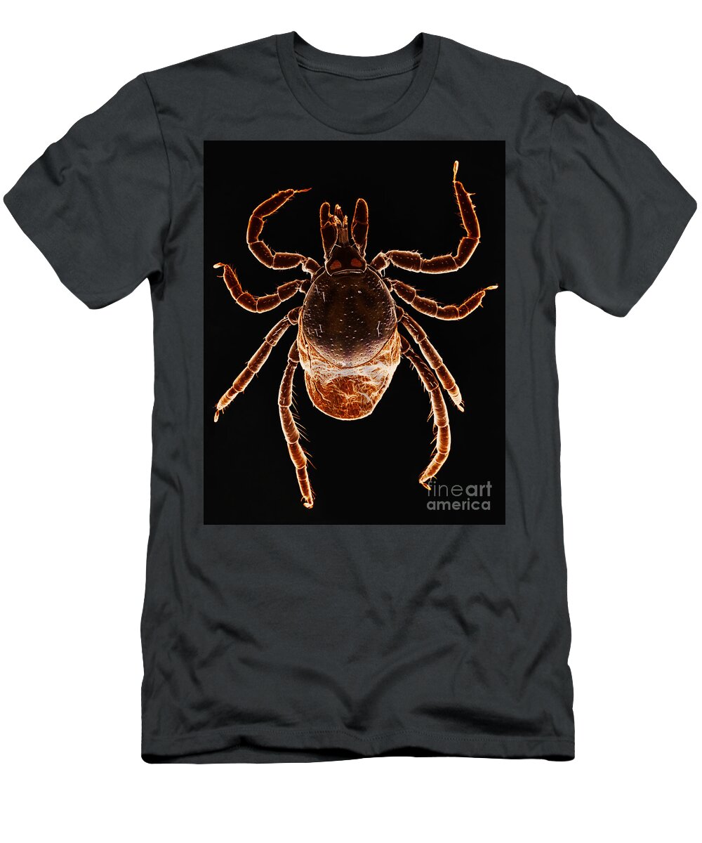 Black-legged Tick T-Shirt featuring the photograph Deer Tick by David M. Phillips
