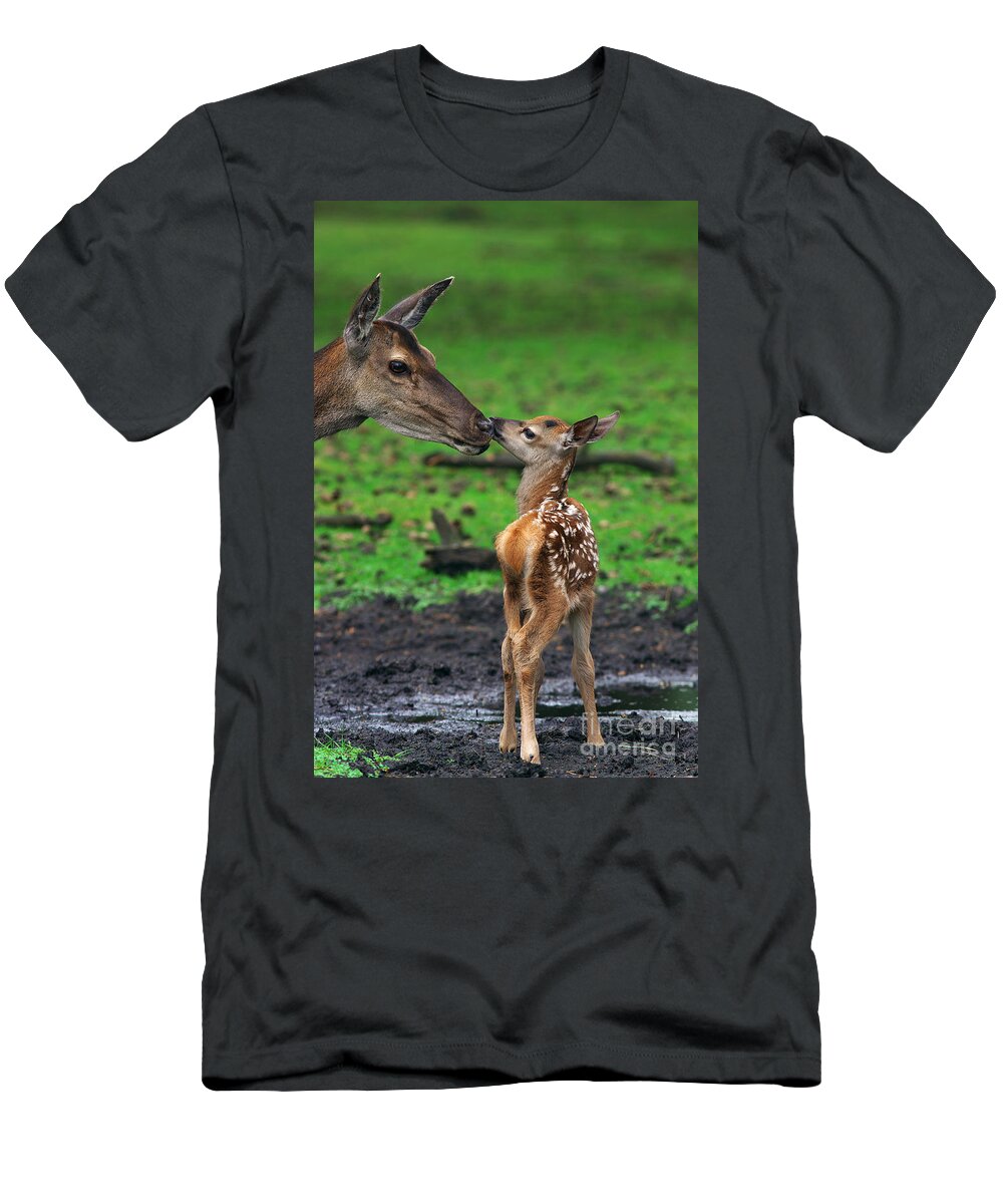Deer T-Shirt featuring the photograph Deer with just born calf by Nick Biemans