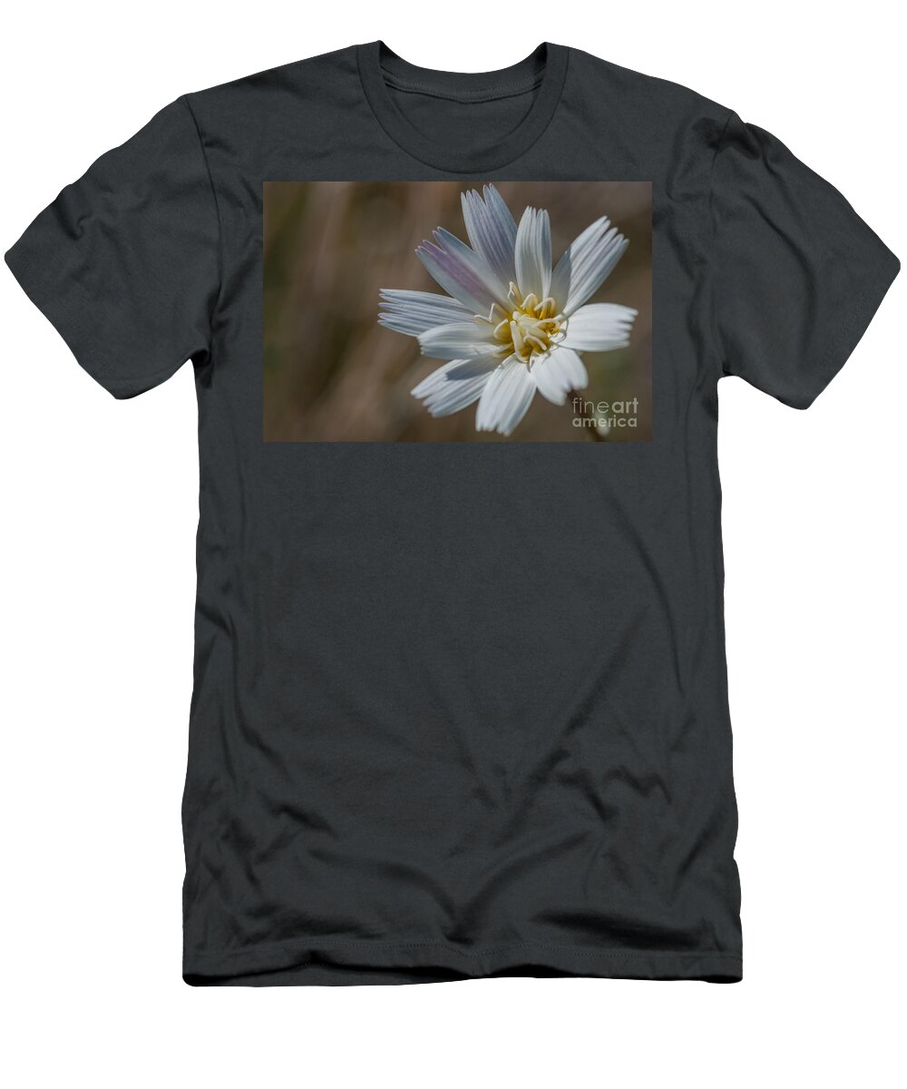 Al Andersen T-Shirt featuring the photograph Desert Chicory 2 by Al Andersen