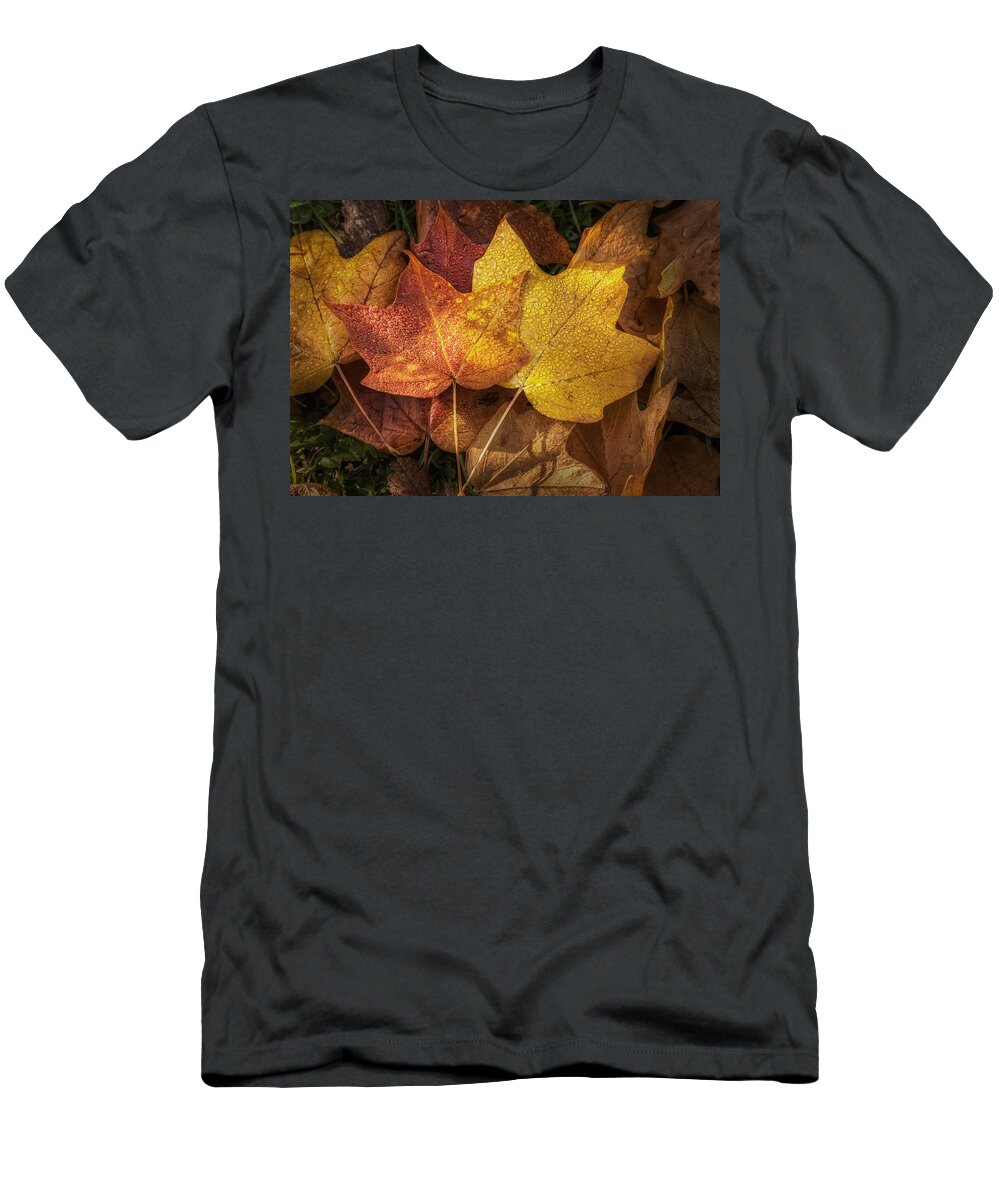 Leaf T-Shirt featuring the photograph Dew on Autumn Leaves by Scott Norris