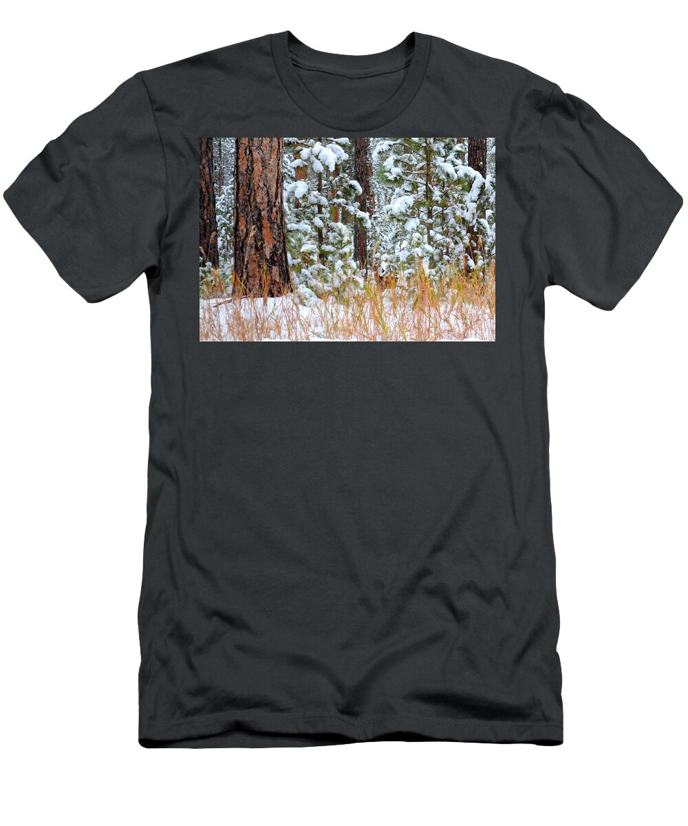 Pine Trees T-Shirt featuring the photograph Do You See Me by Clarice Lakota