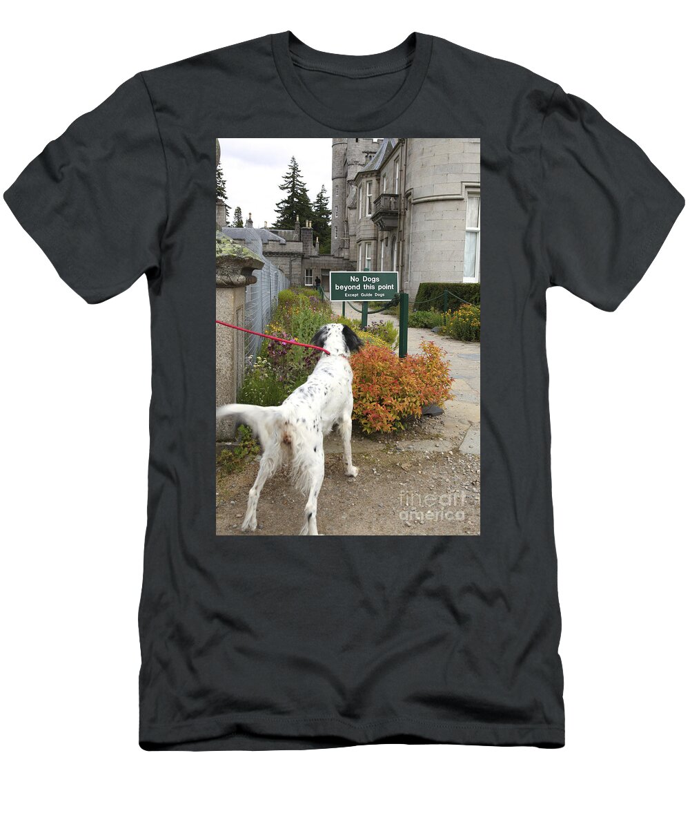 Dog T-Shirt featuring the photograph Dog reads sign by Patricia Hofmeester