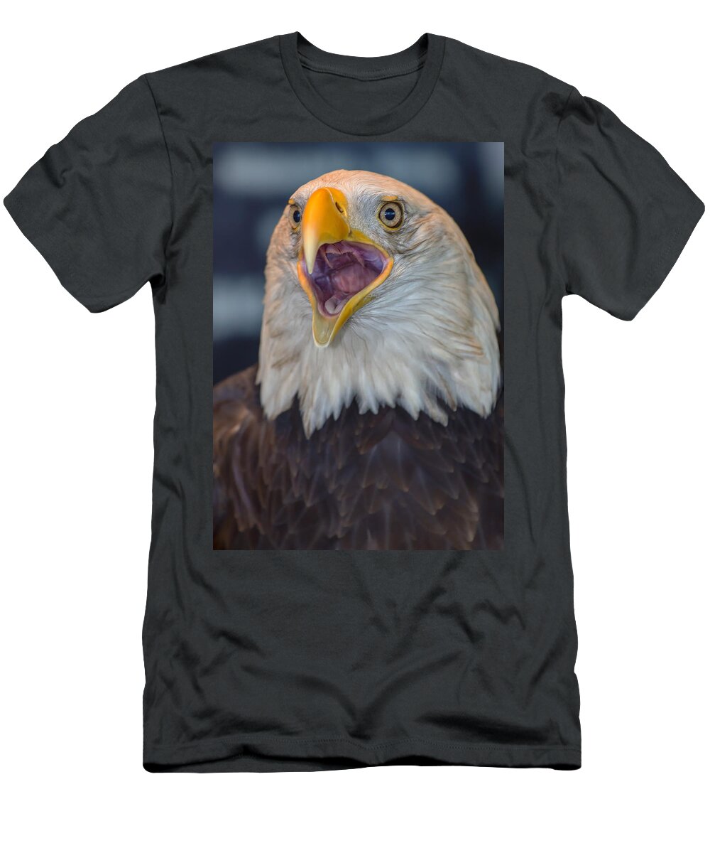 Eagle T-Shirt featuring the photograph Down The Hatch by Bill and Linda Tiepelman