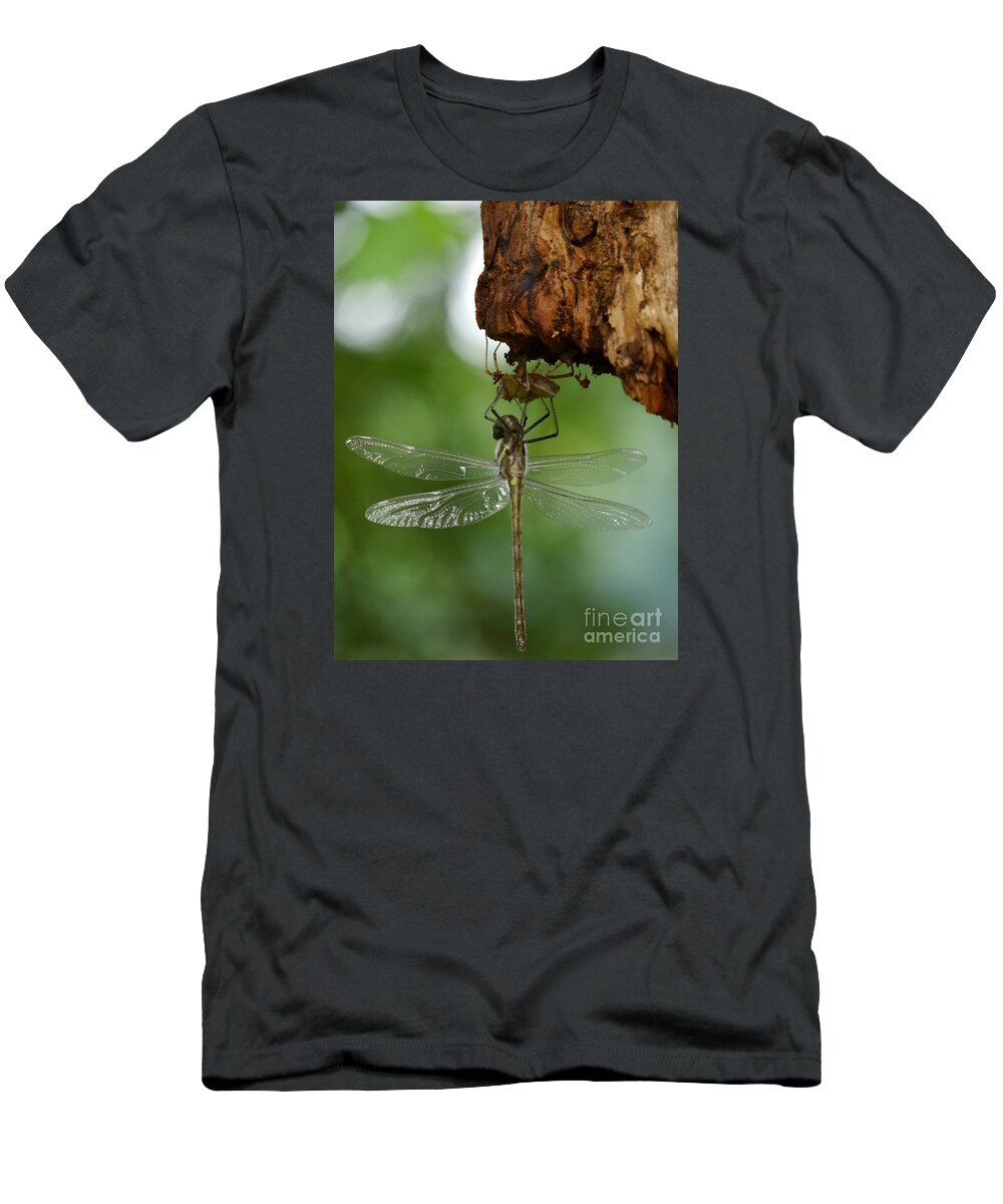 Jane Ford T-Shirt featuring the photograph Dragonfly by Jane Ford
