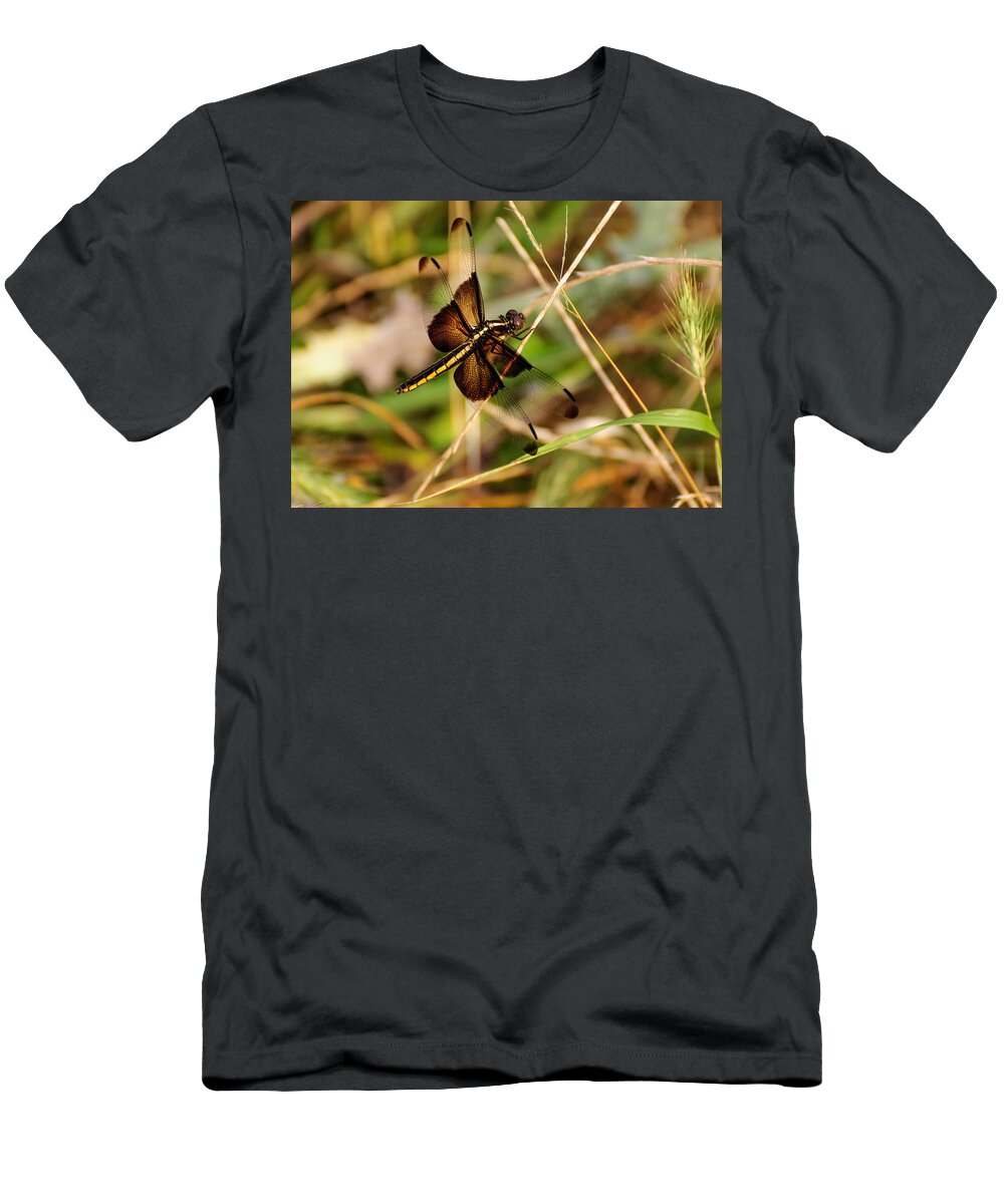 Dragonfly T-Shirt featuring the photograph Dragonfly by John Johnson