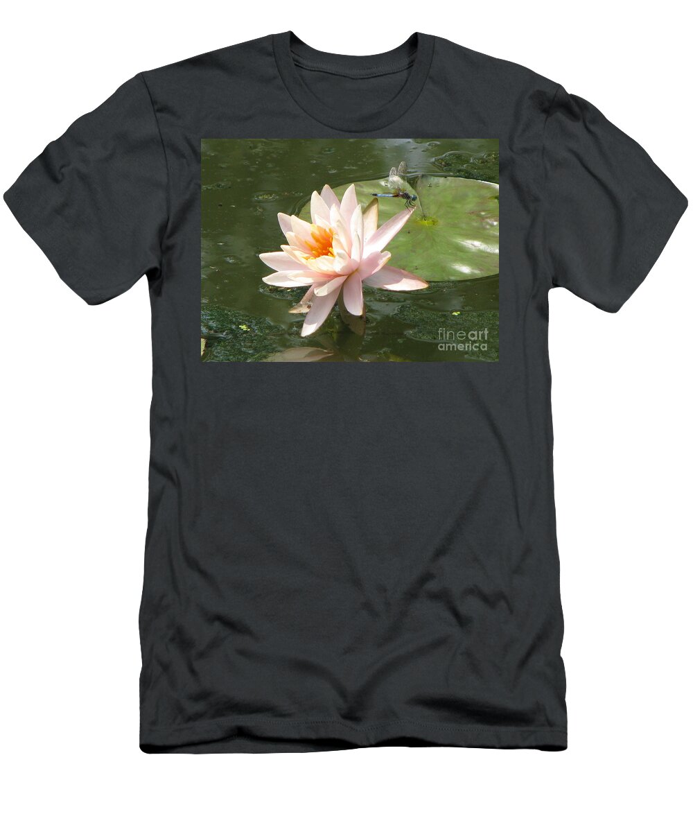Dragon Fly T-Shirt featuring the photograph Dragonfly landing by Amanda Barcon